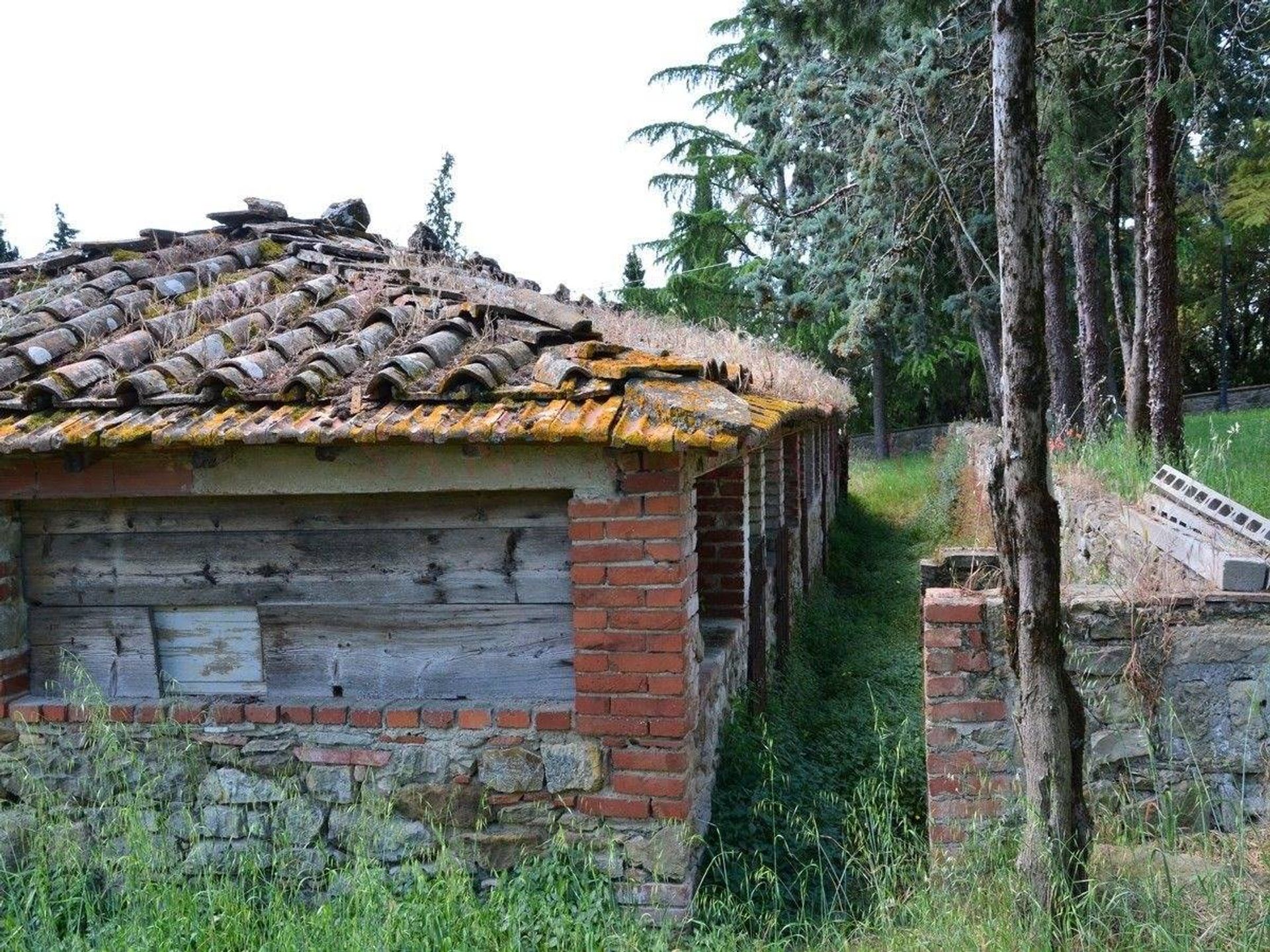 Kondominium di Civitella in Val di Chiana,  10054527