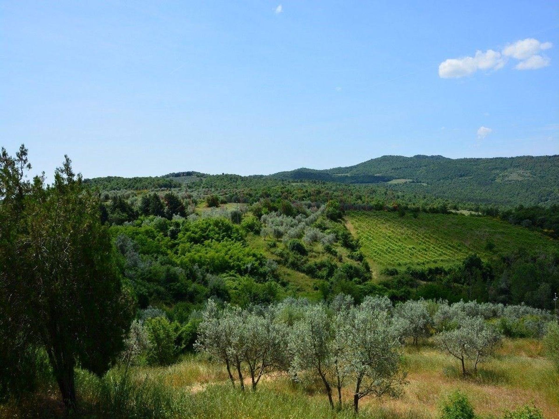 Eigentumswohnung im Civitella in Val di Chiana,  10054527