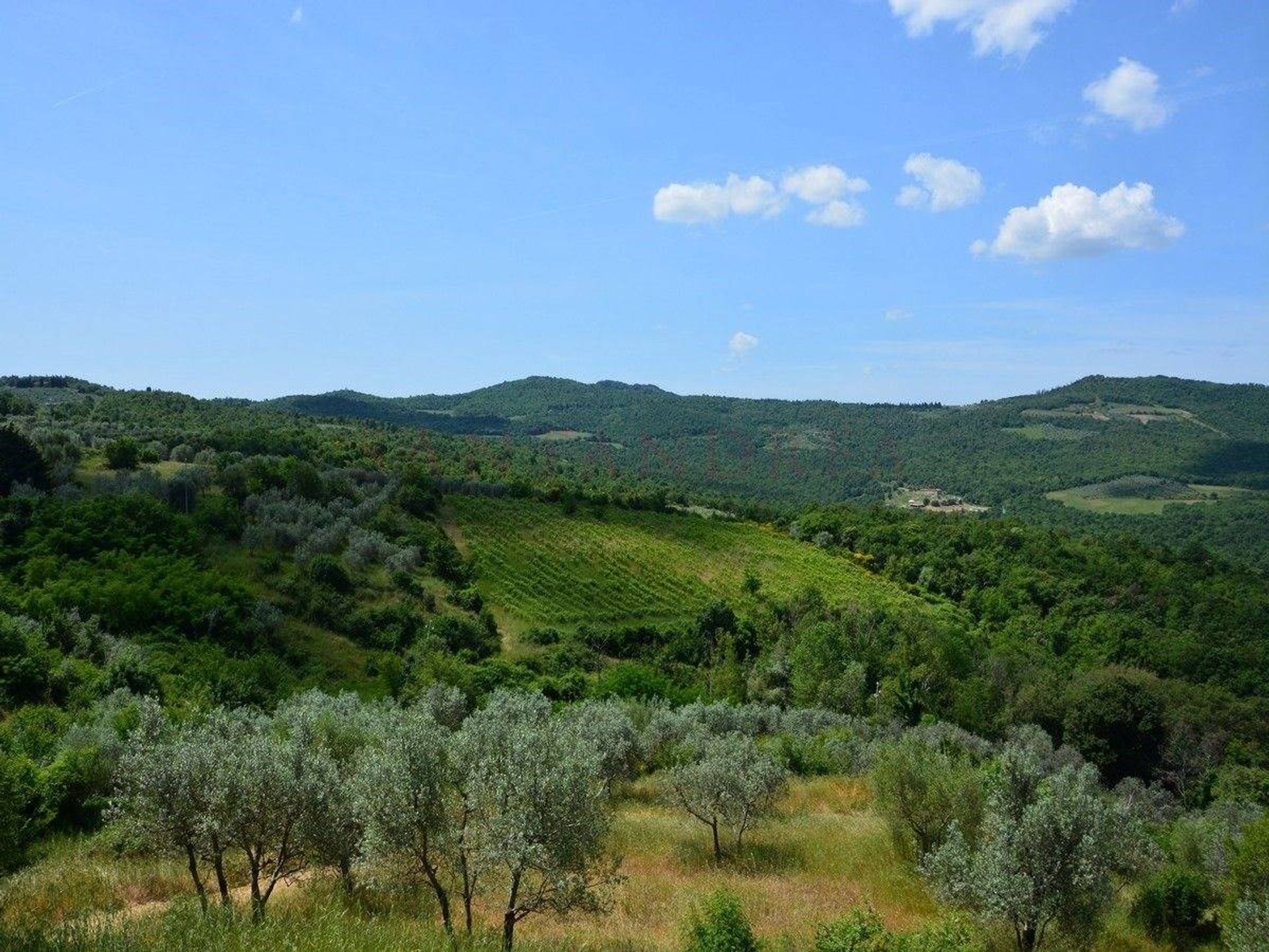 Eigentumswohnung im Civitella in Val di Chiana,  10054527