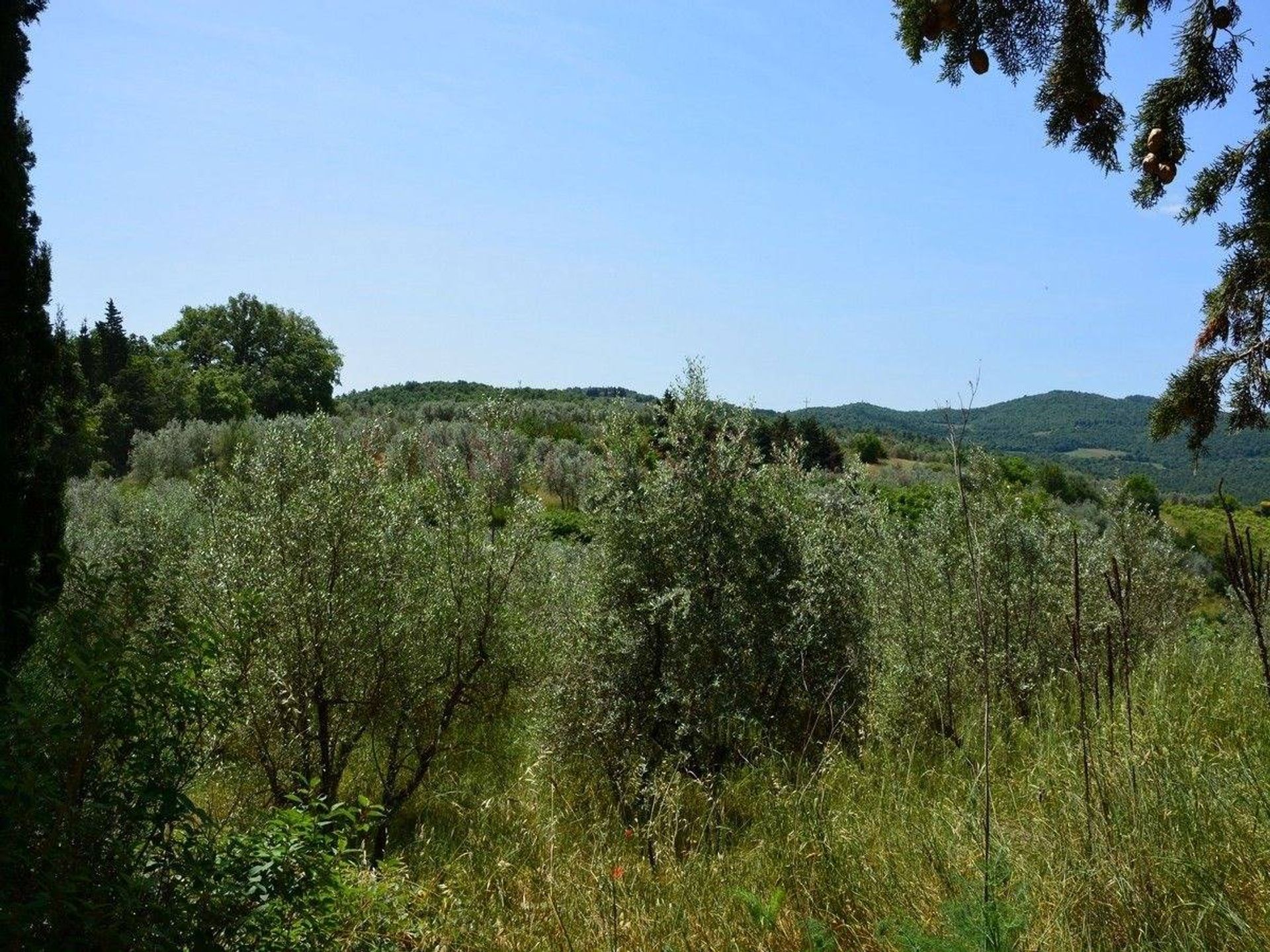 Eigentumswohnung im Civitella in Val di Chiana,  10054527