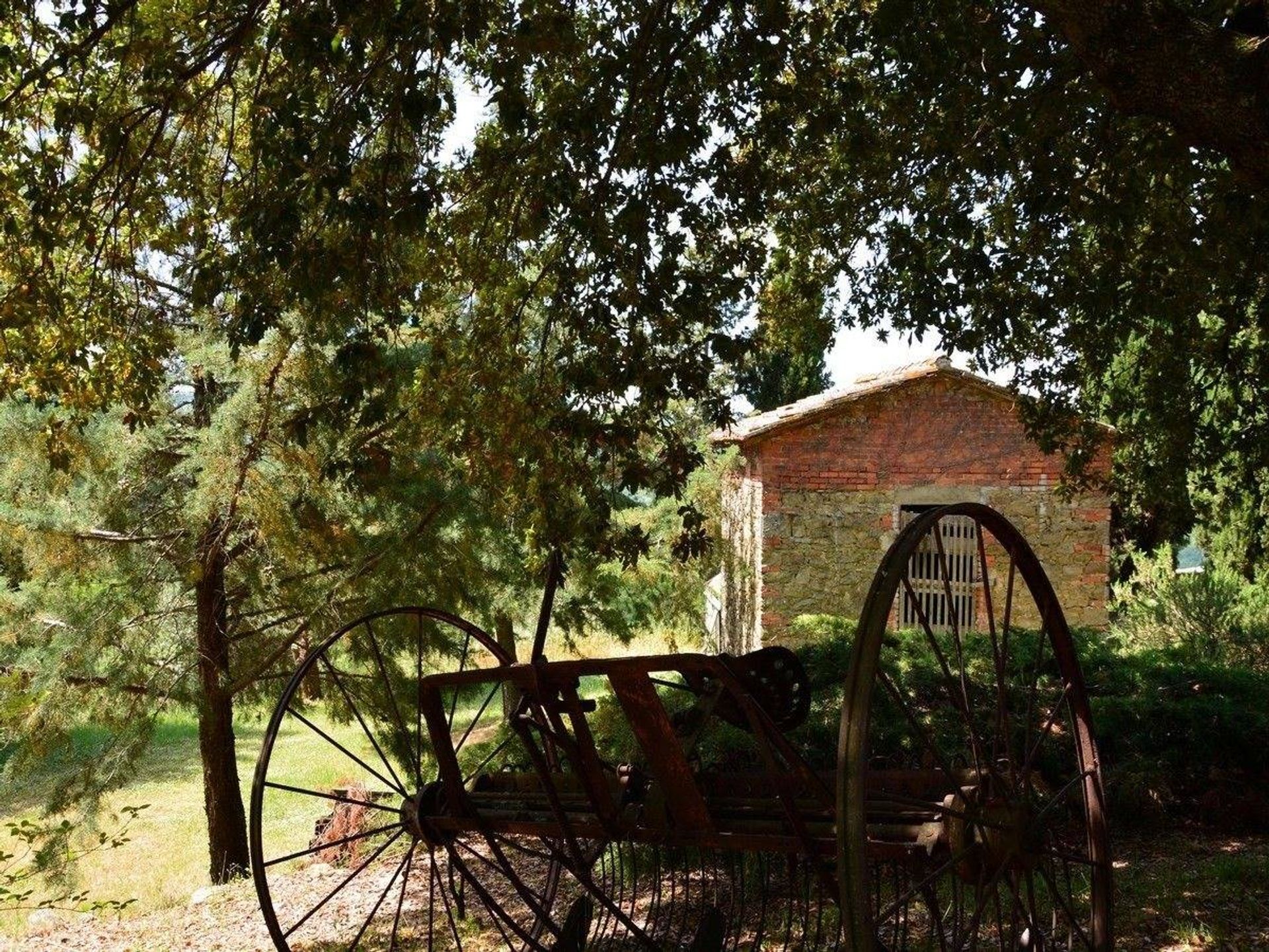 Eigentumswohnung im Civitella in Val di Chiana,  10054527