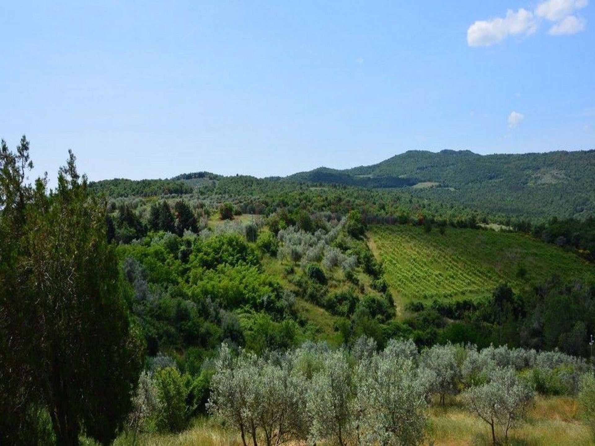 Kondominium di Civitella in Val di Chiana,  10054527