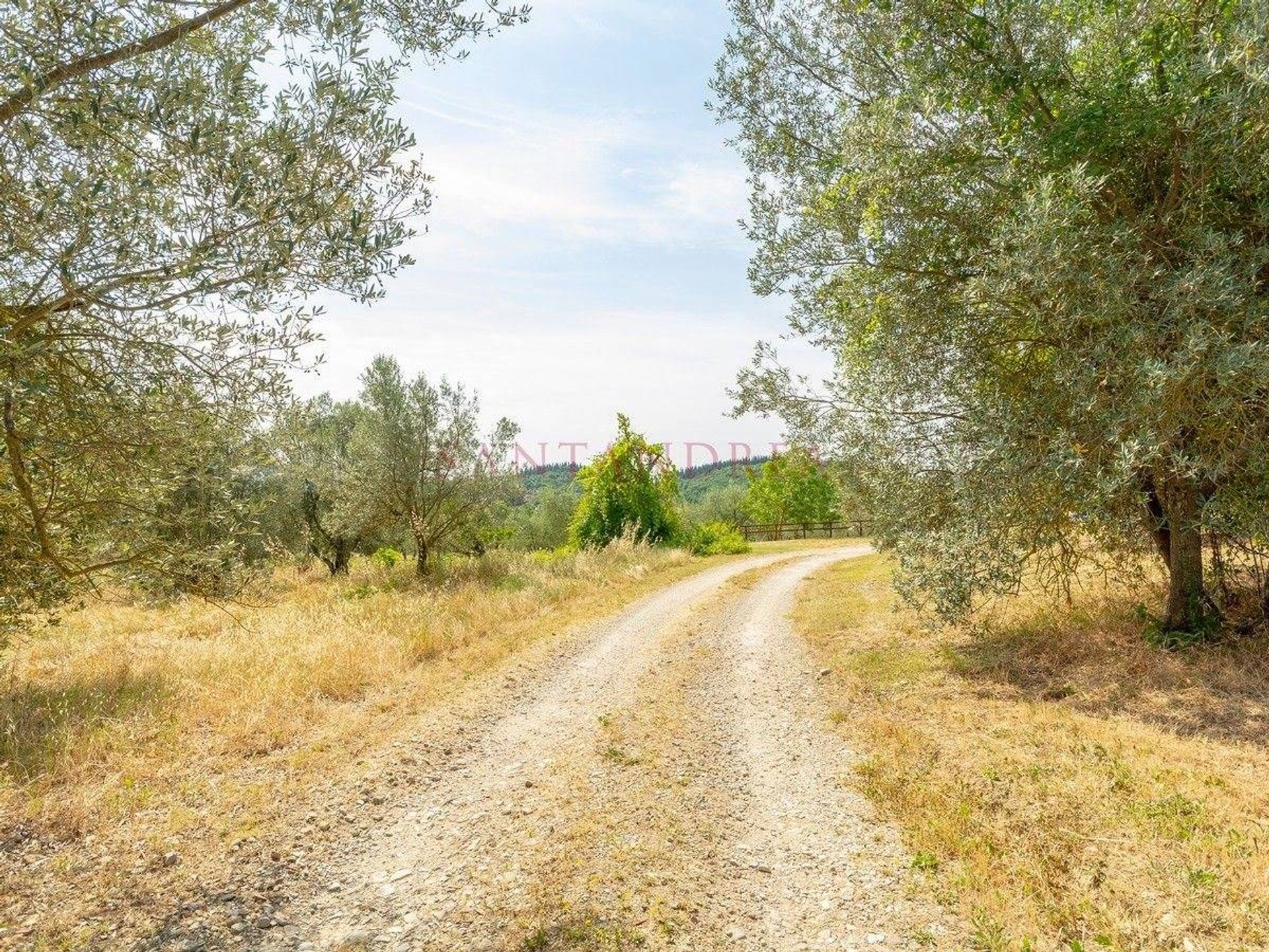 Συγκυριαρχία σε Incisa in Val d'Arno,  10054565