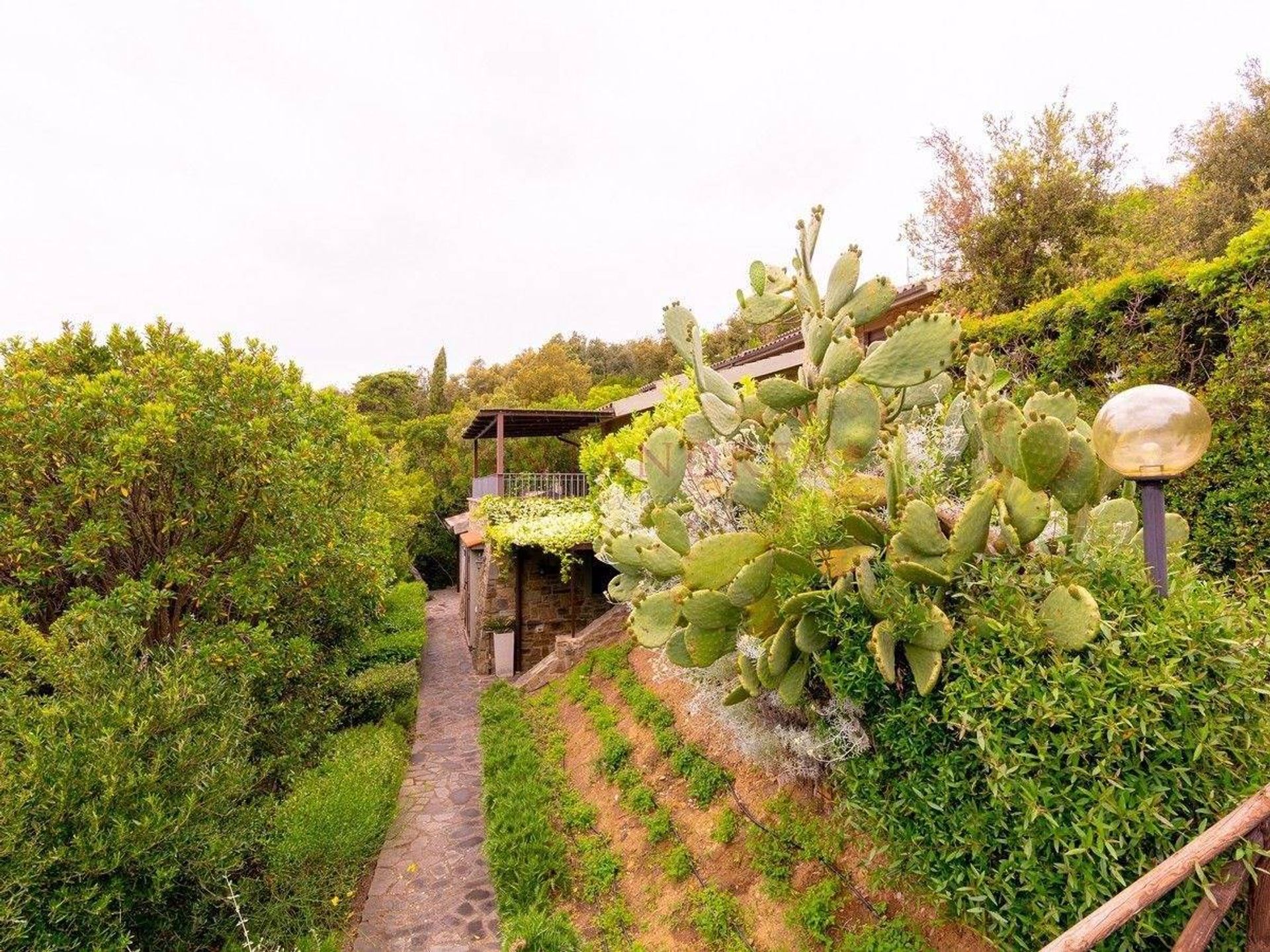 Casa nel Castiglione della Pescaia,  10054581