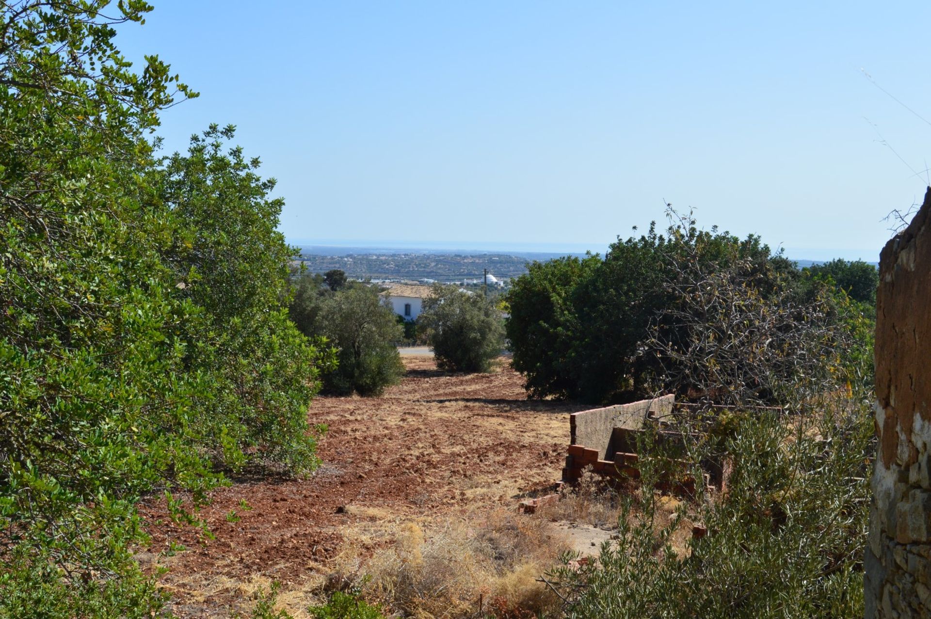 Terra no Canos, Faro 10054840