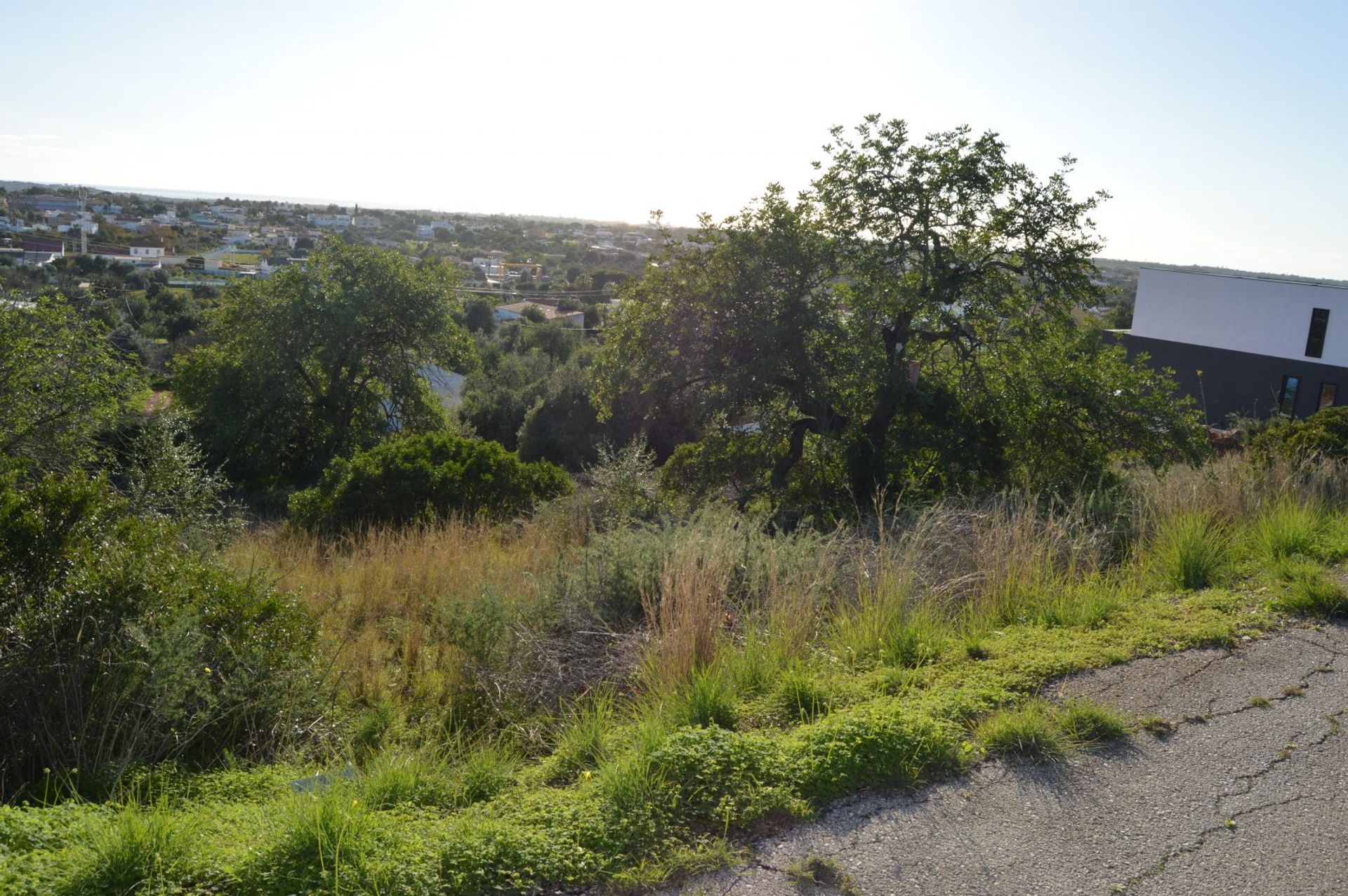 Land in Canos, Faro 10054854