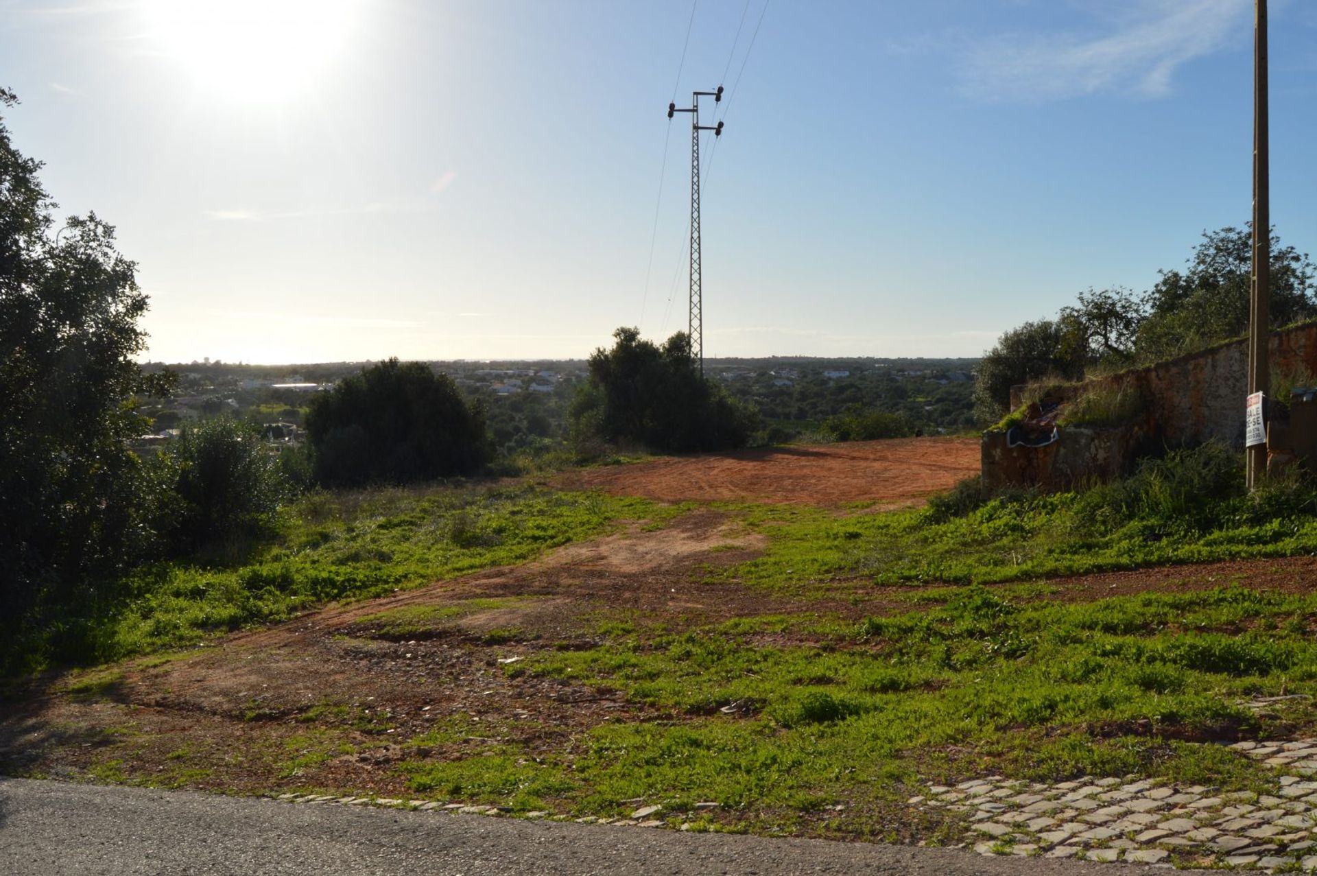 Terra no Canos, Faro 10054855