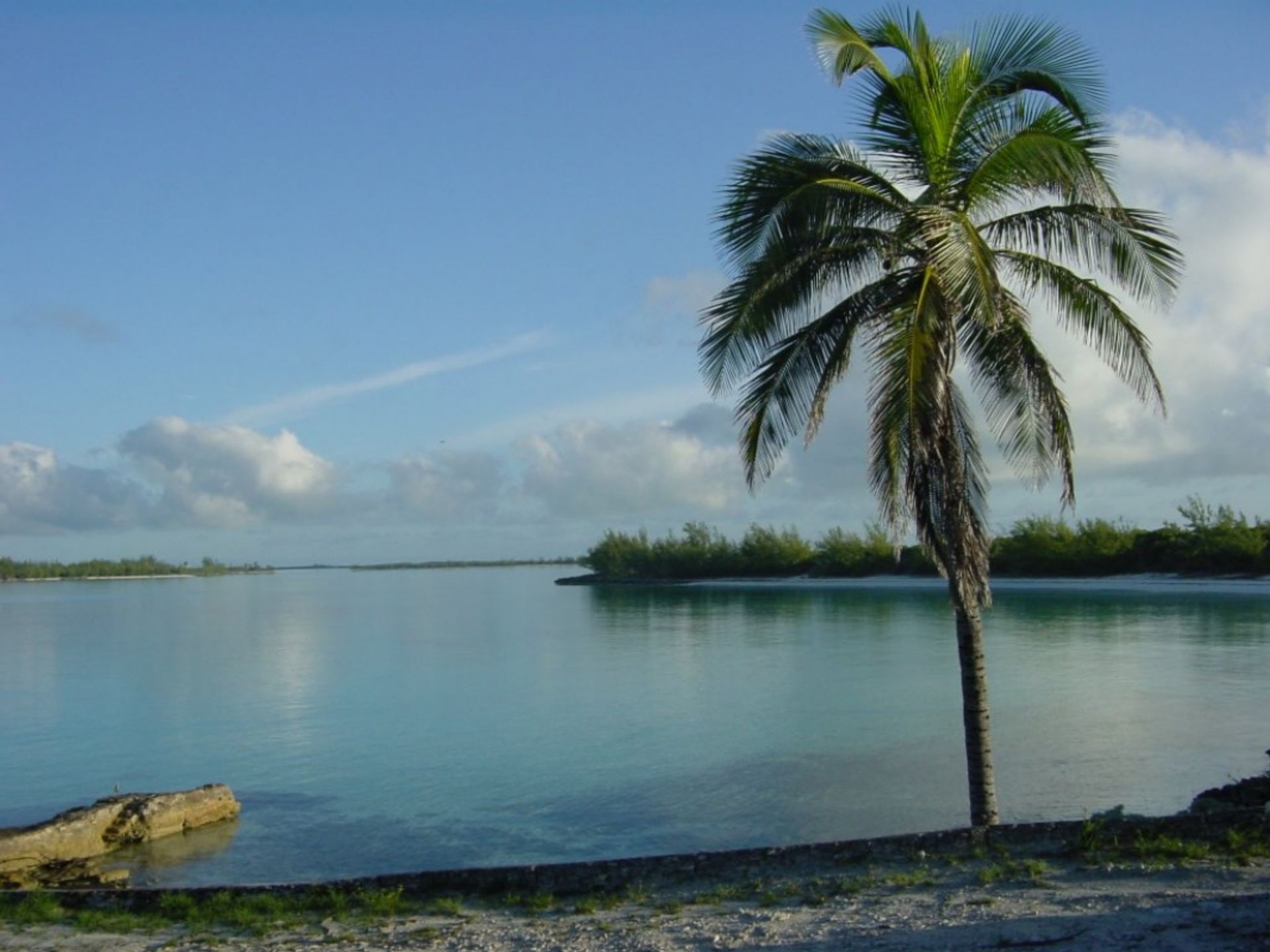 집 에 Great Whale Cay, Nicholls Town And Berry Islands 10055431