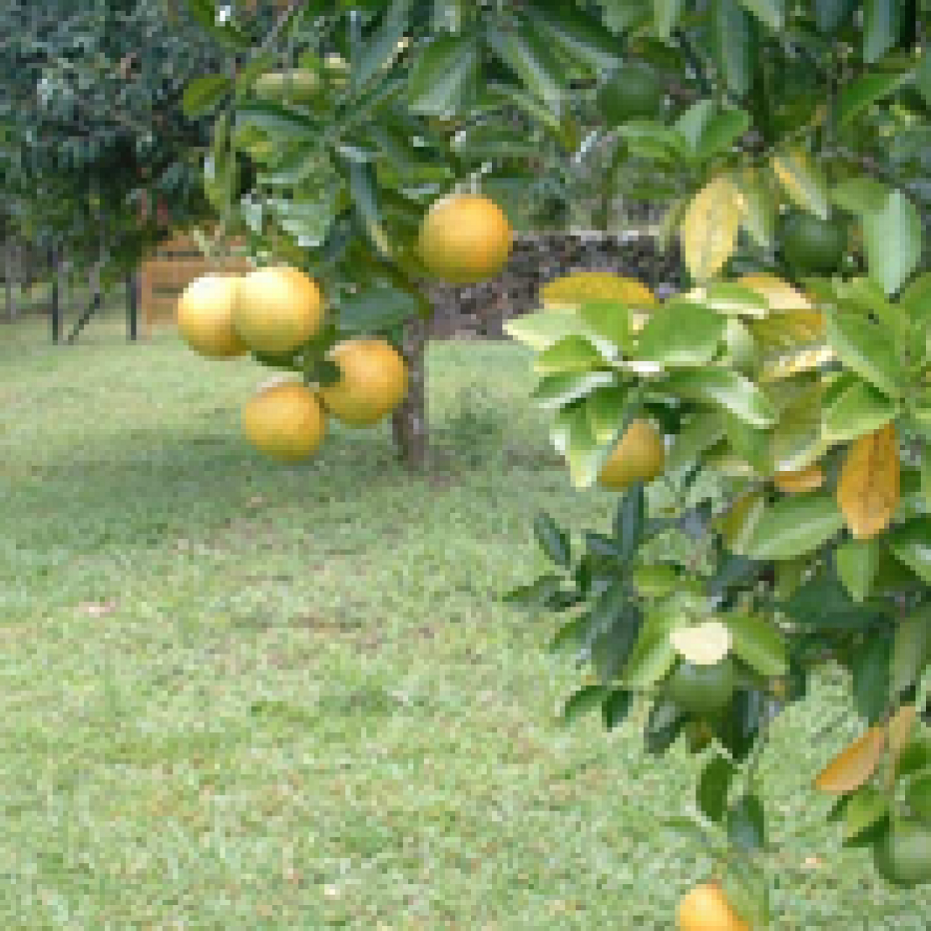 Casa nel La Yeguada, Chiriqui 10055493