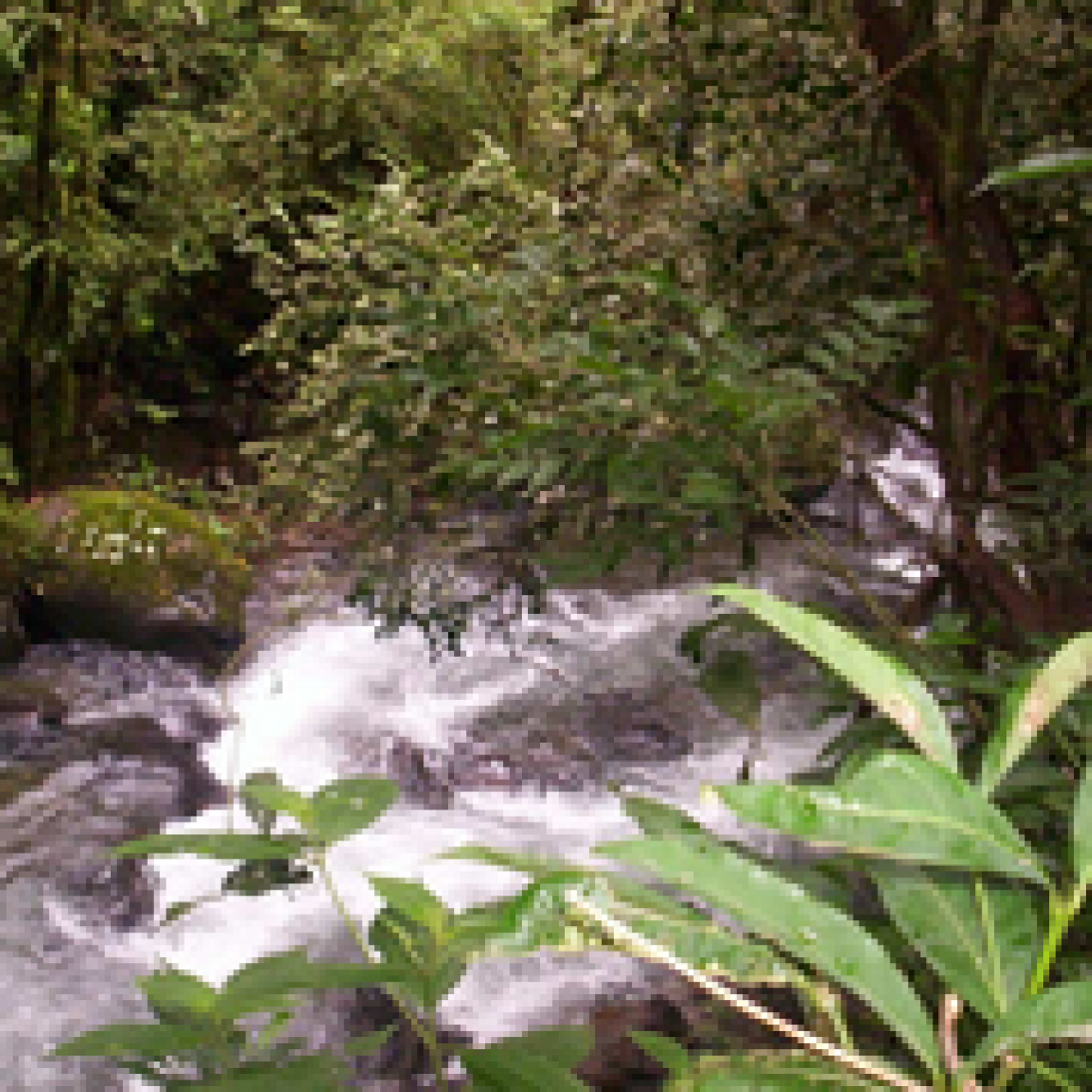 σπίτι σε La Yeguada, Chiriqui 10055493