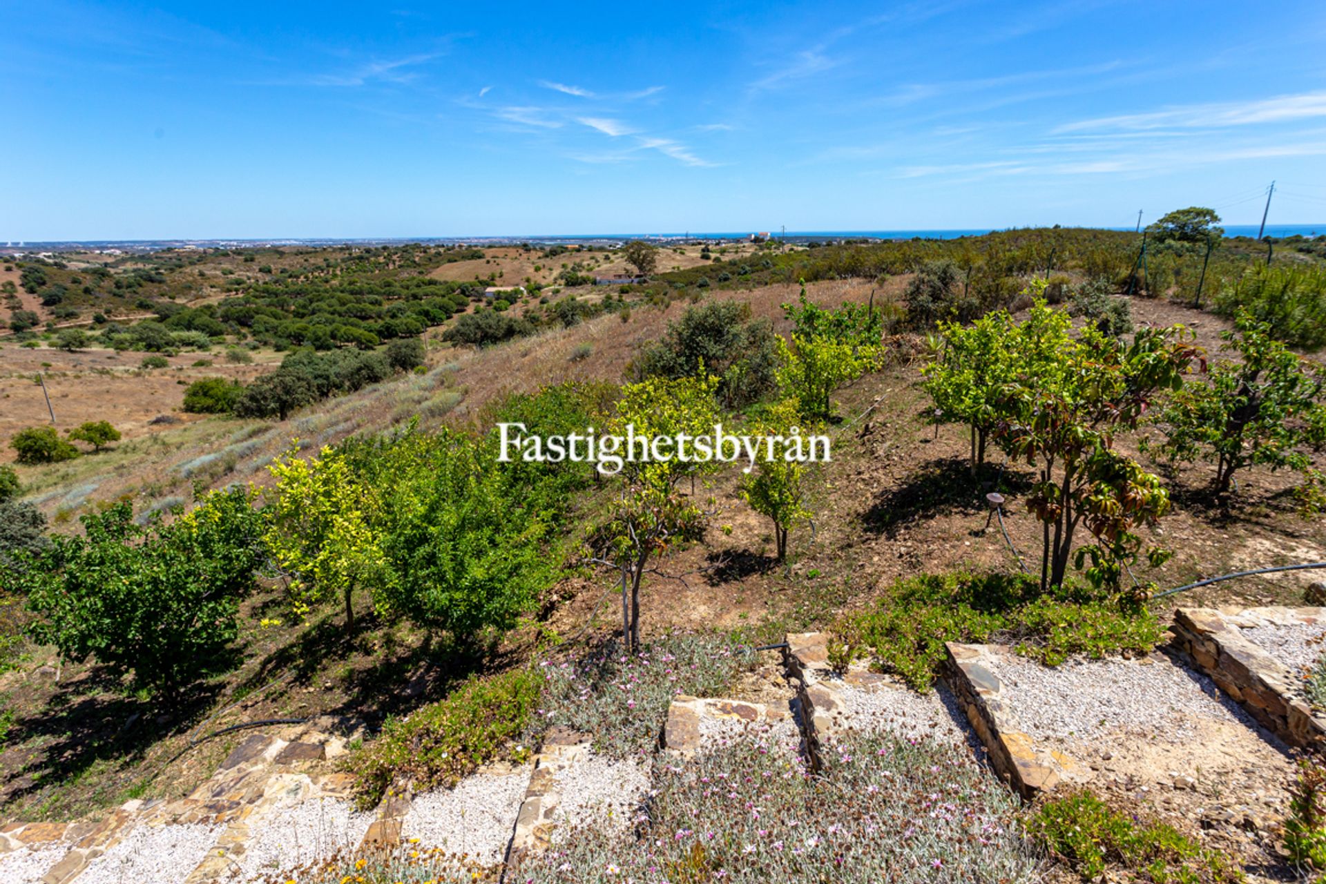 жилой дом в Castro Marim, Algarve 10055759