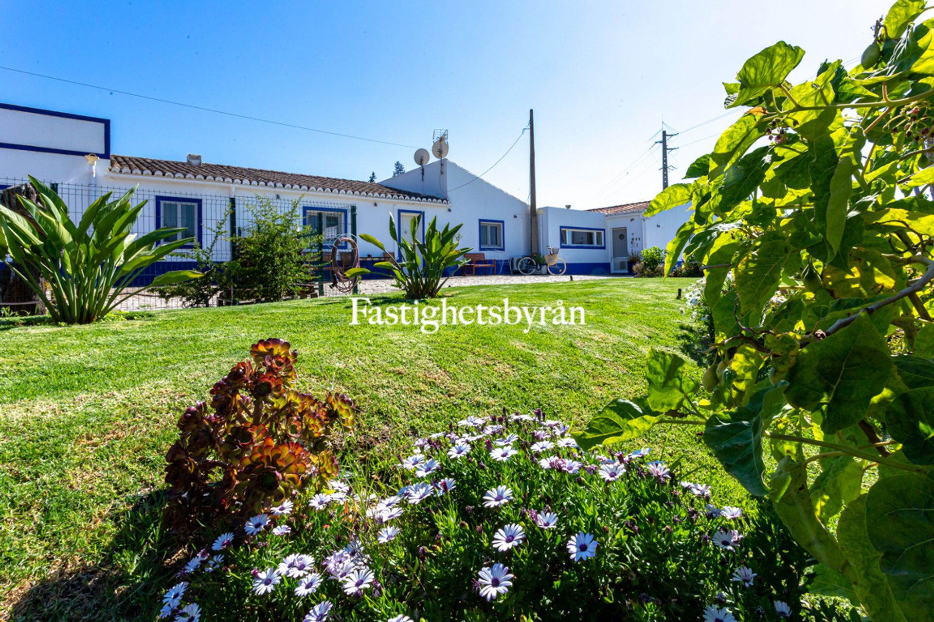 Casa nel Santa Luzia, Algarve 10055764