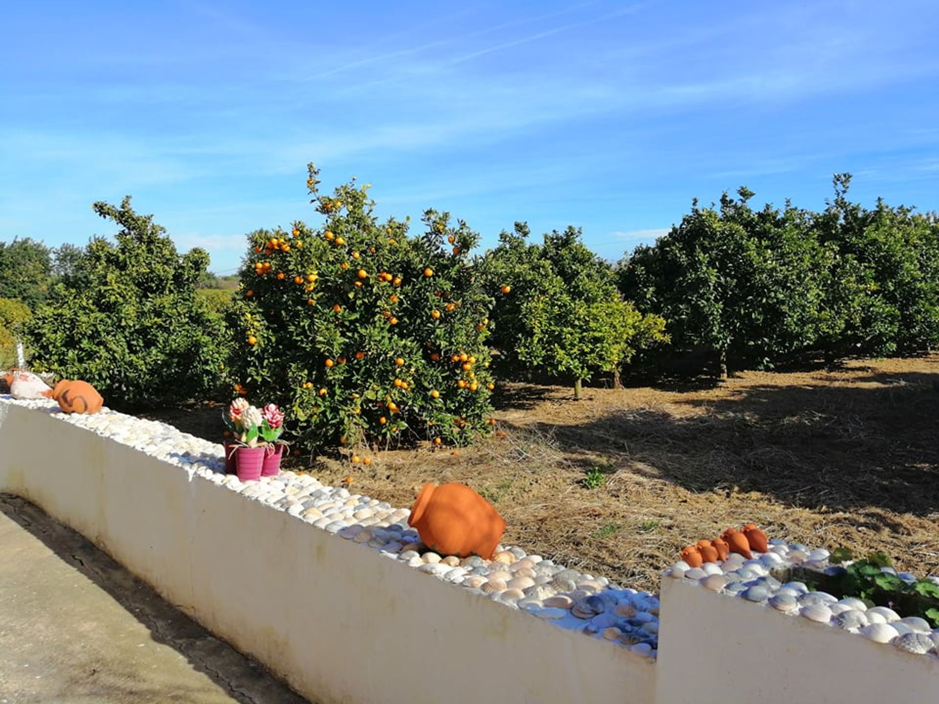 Casa nel Tavira, Algarve 10055827