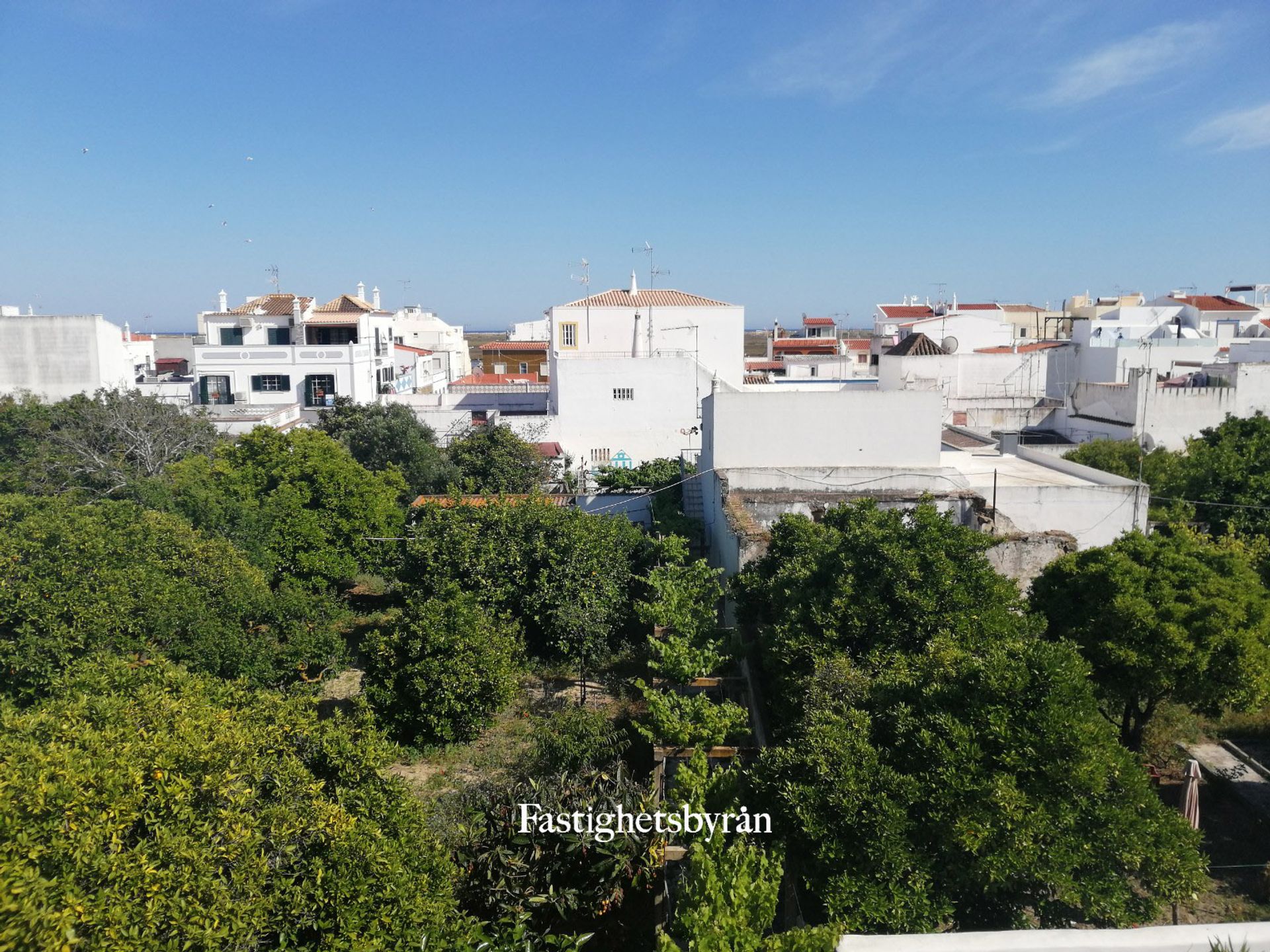 casa en Santa Luzia, Algarve 10055841