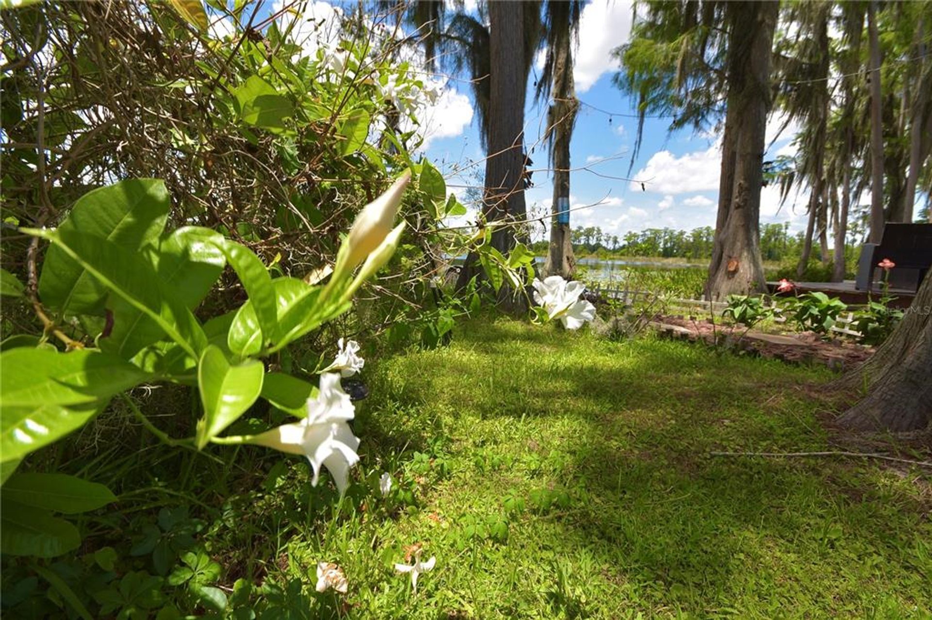 House in Winter Garden, Florida 10055948