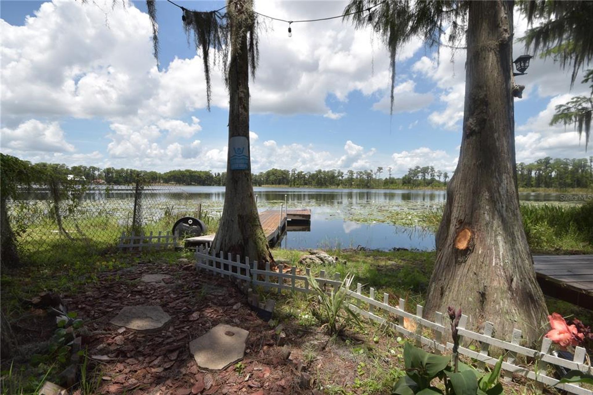 House in Winter Garden, Florida 10055948