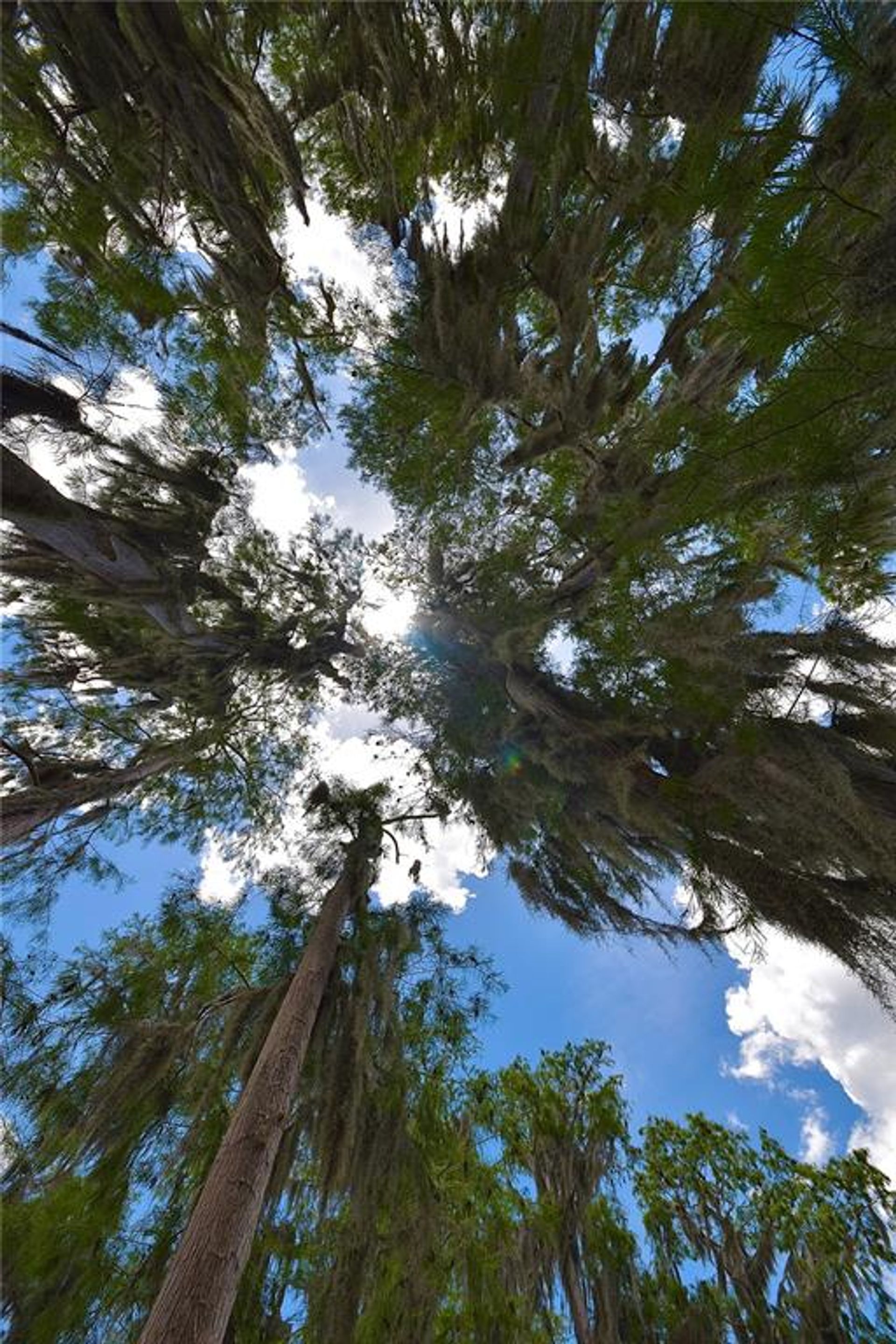 بيت في Winter Garden, Florida 10055948