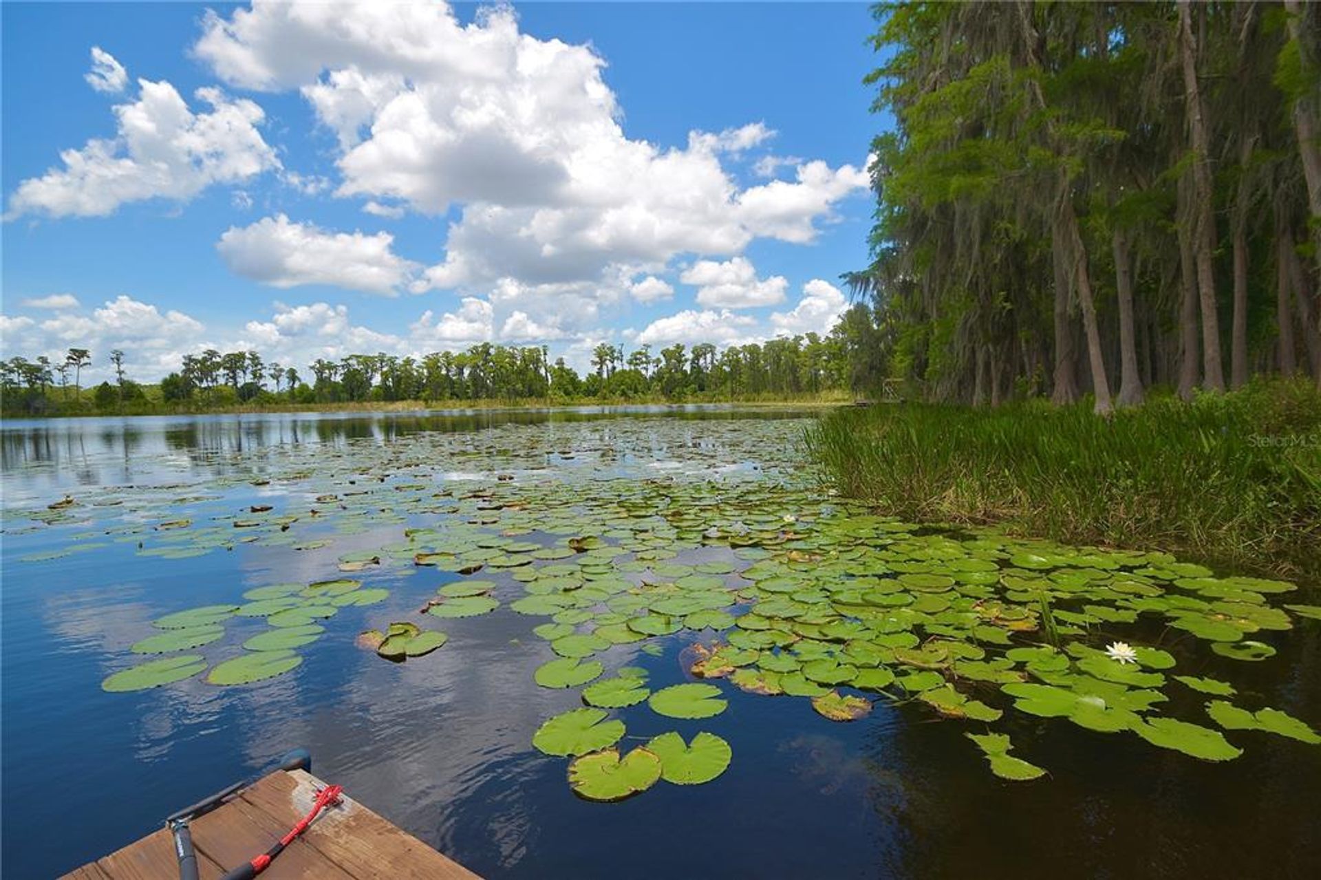 بيت في Winter Garden, Florida 10055948