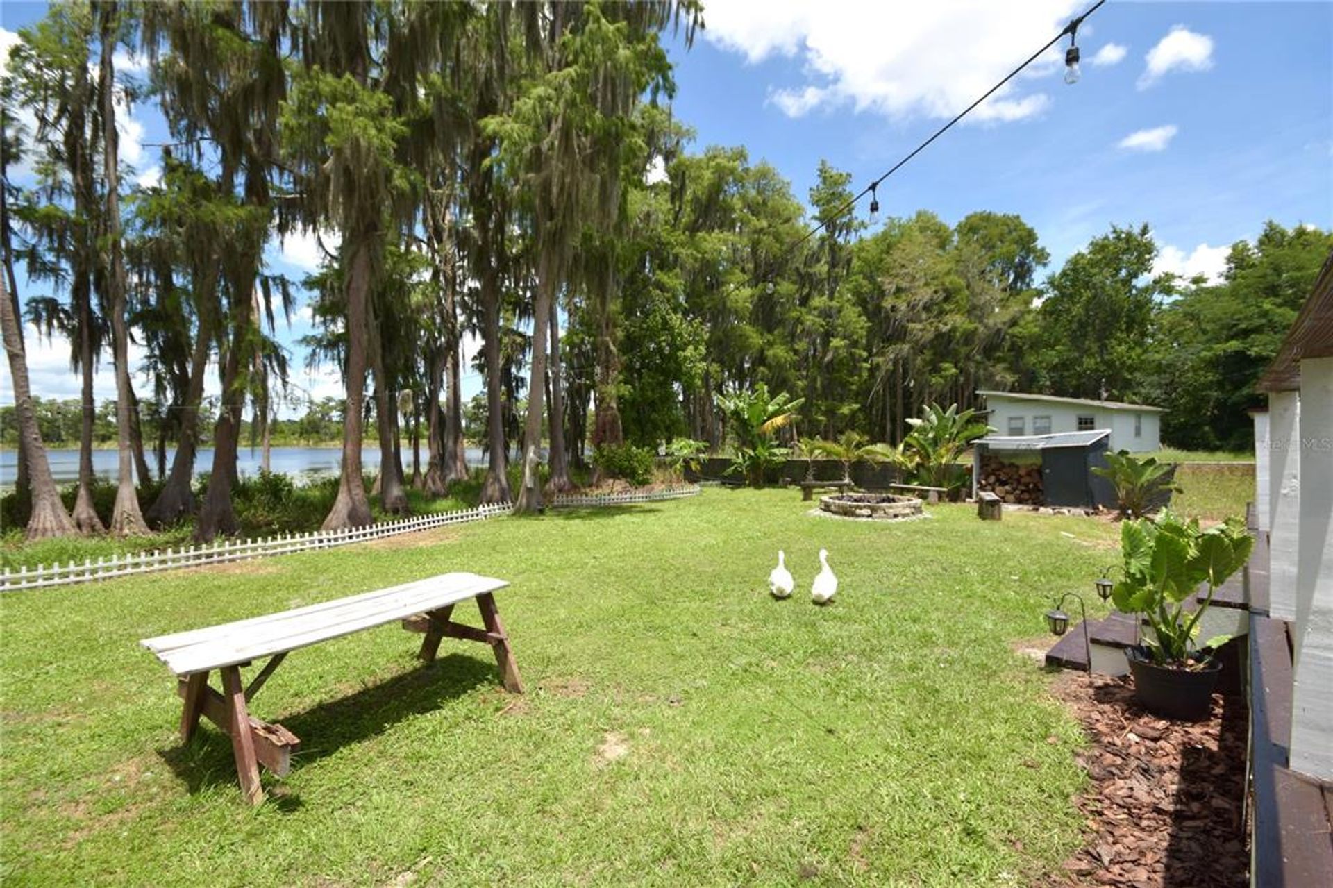 House in Winter Garden, Florida 10055948