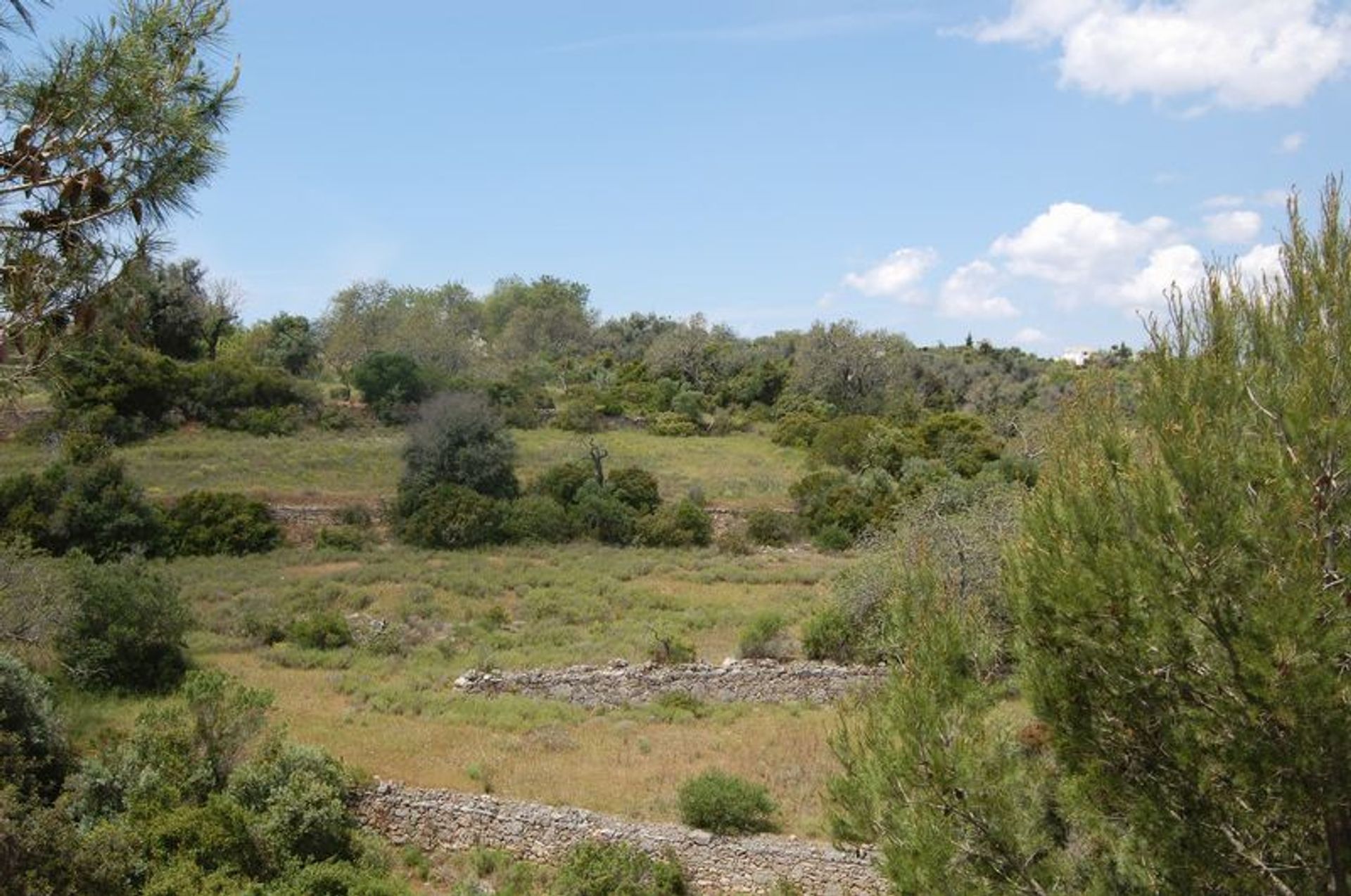 सम्मिलित में Porches, Algarve 10055987