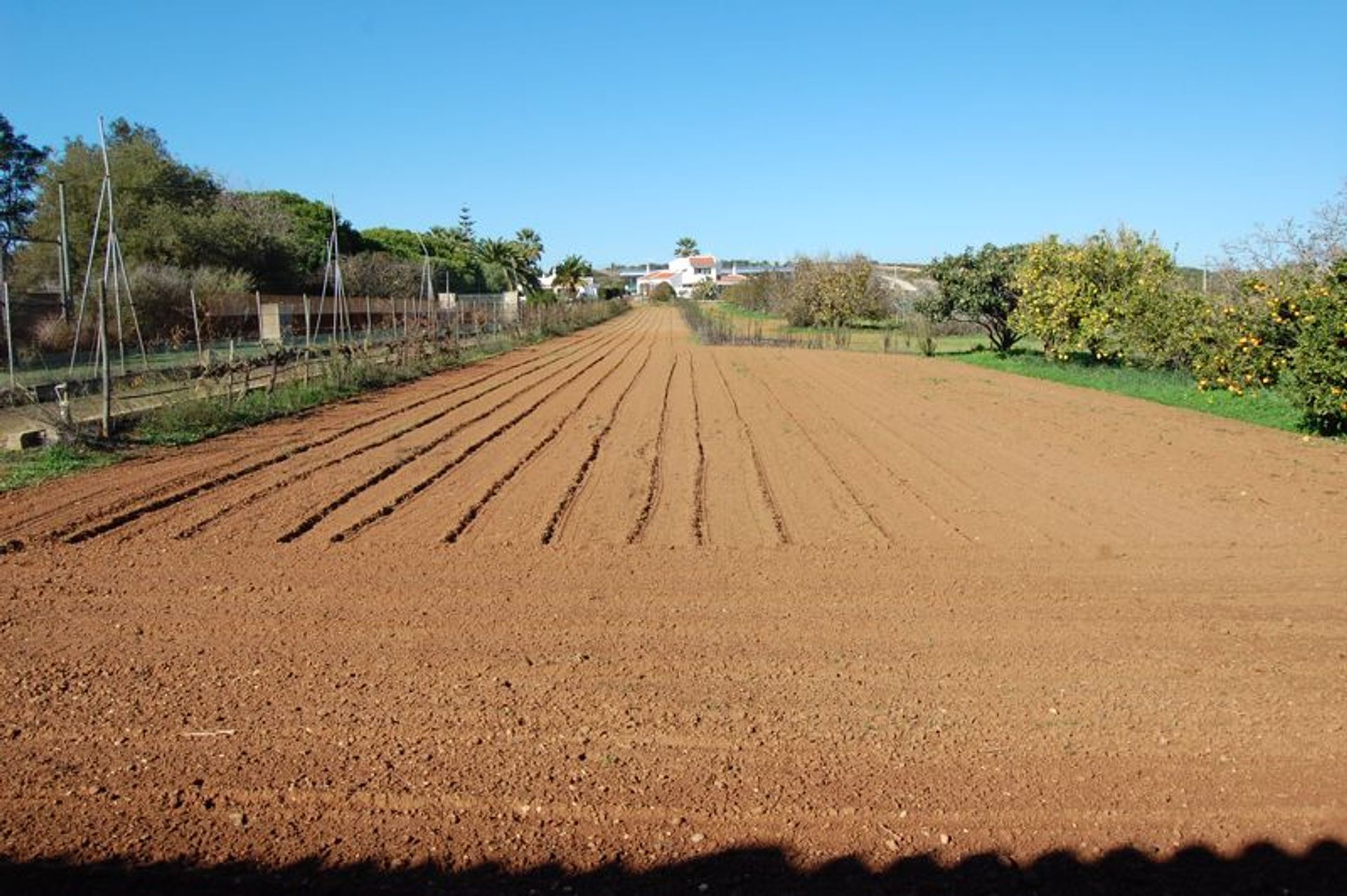 Rumah di Almadena, Algarve 10056022