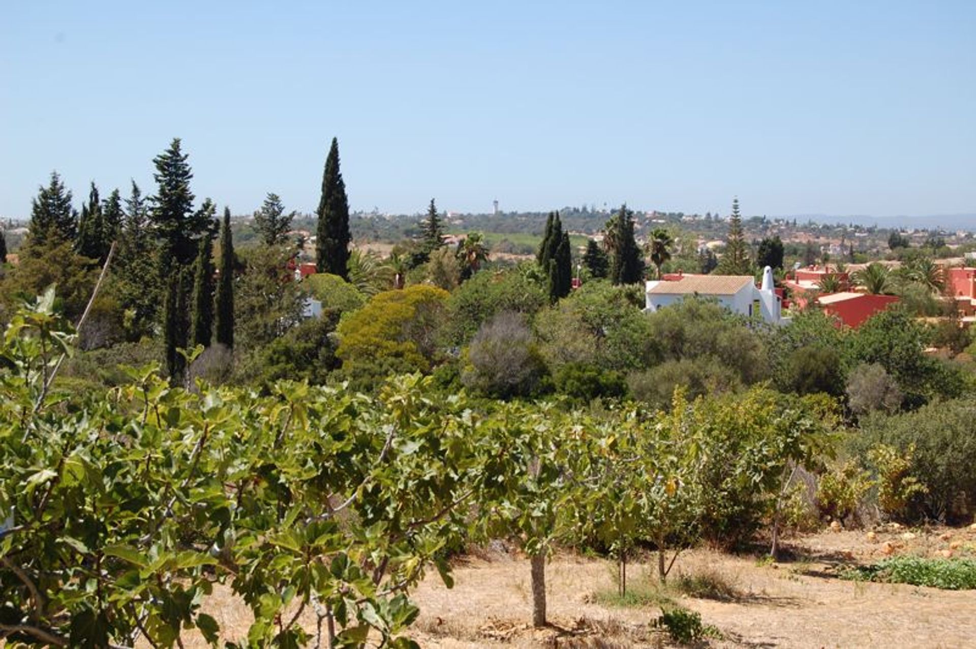 بيت في Carvoeiro, Algarve 10056048