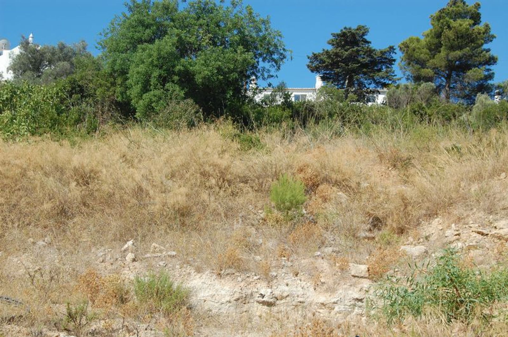 Land in Carvoeiro, Algarve 10056083