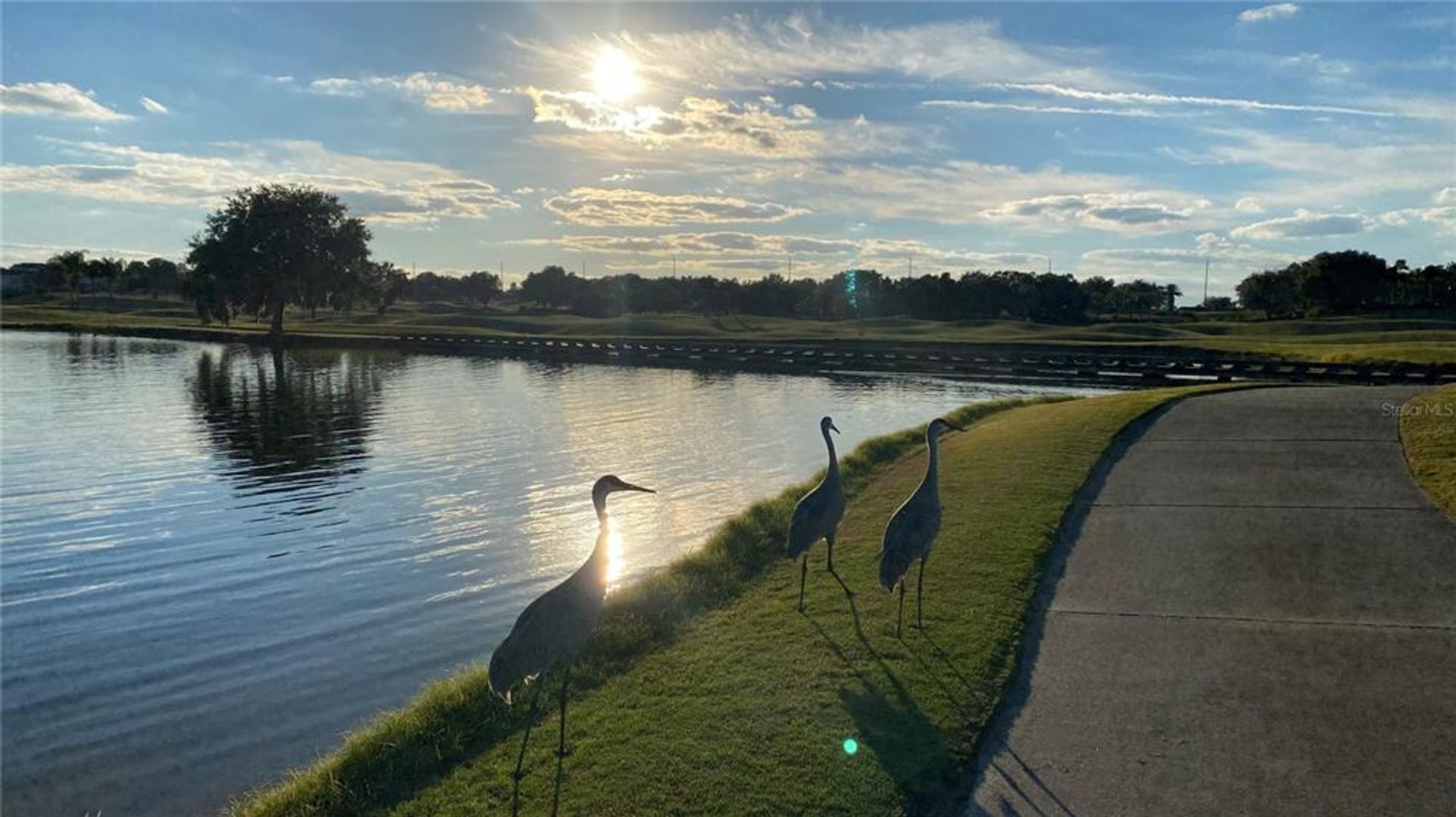 Condominio nel Reunion, Florida 10056478