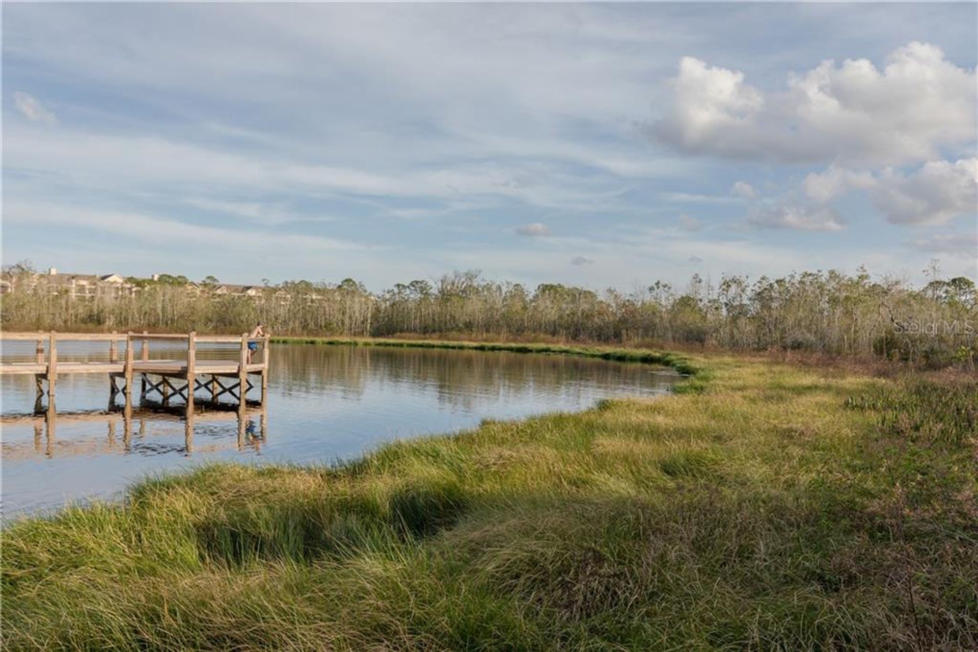 Condominio nel Winter Garden, Florida 10056767