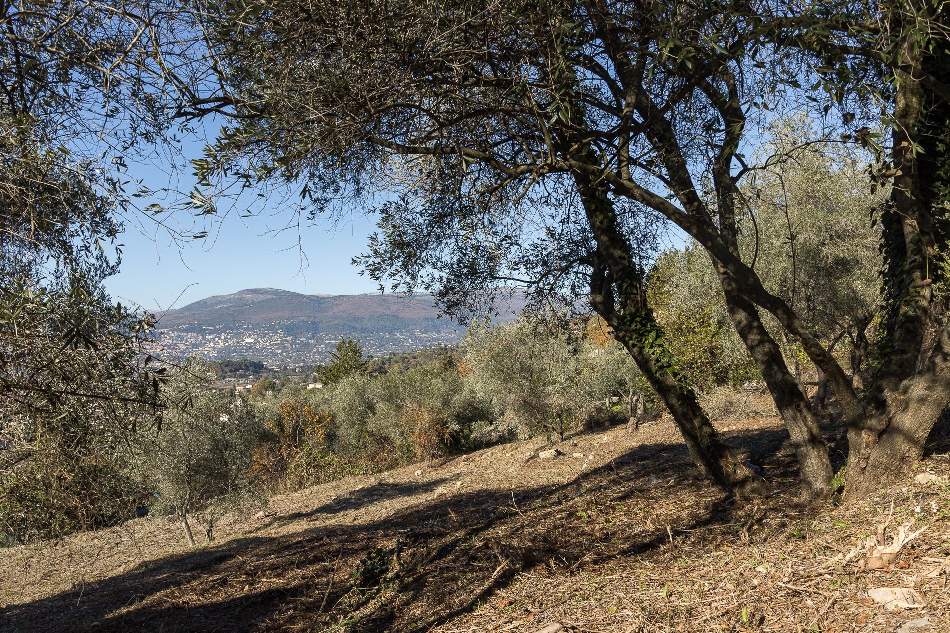 Συγκυριαρχία σε Mouans-Sartoux, Alpes-Maritimes 10057024