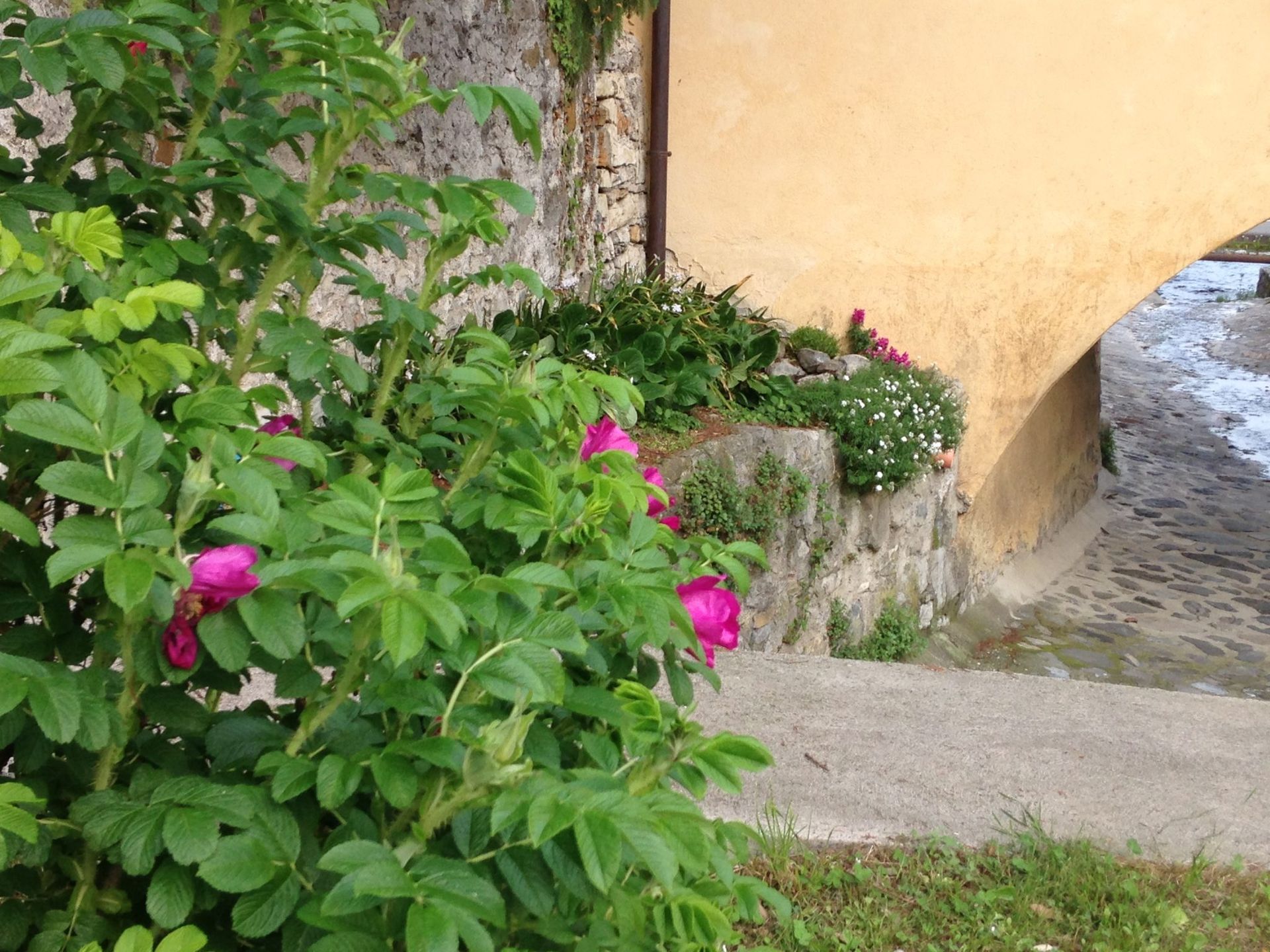 Condomínio no Riva Di Solto, Lombardy 10057154