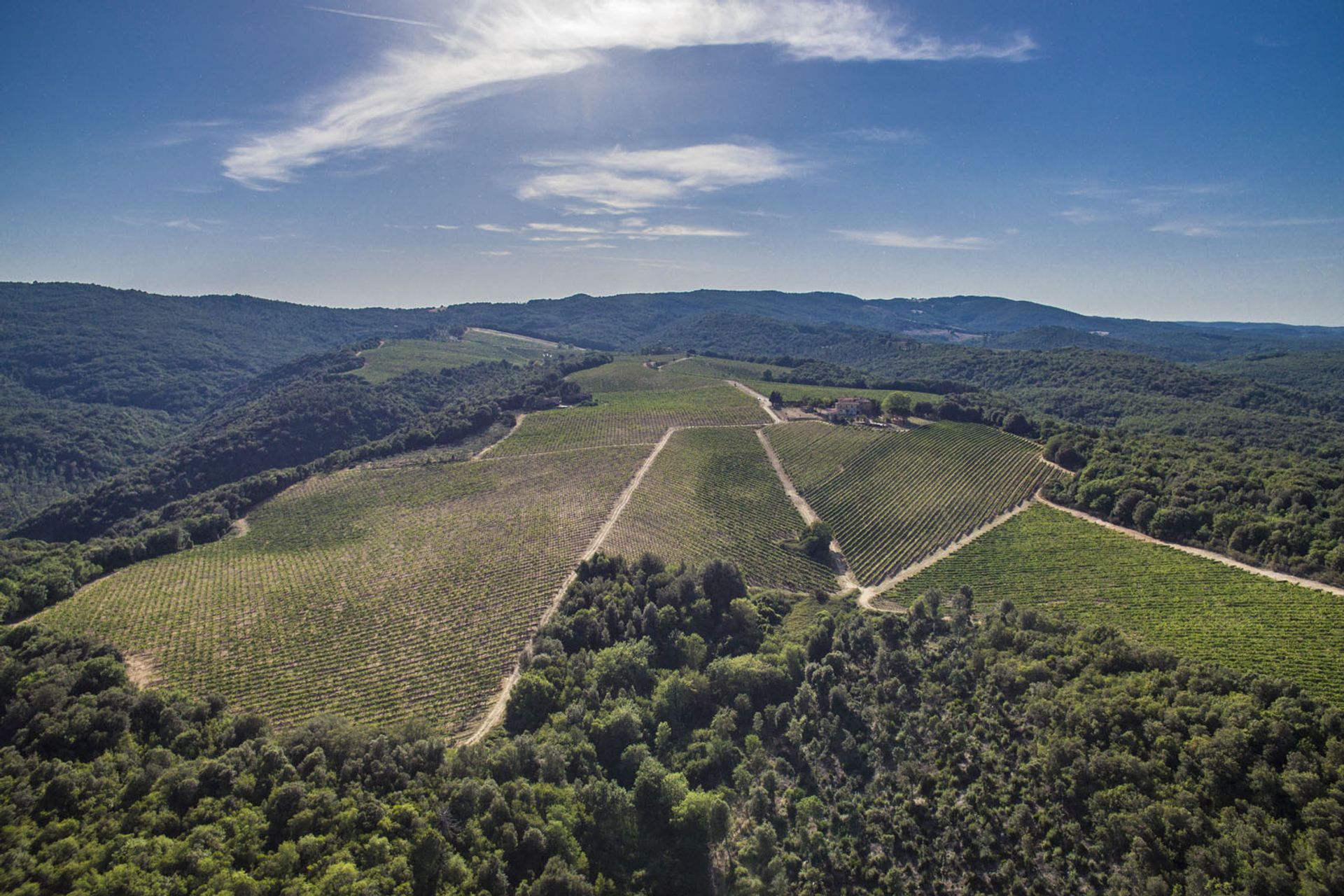 Altro nel San Gimignano, Siena 10057834