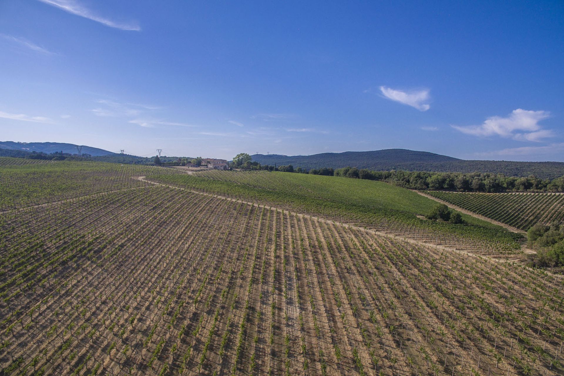 Andere im San Gimignano, Toskana 10057834