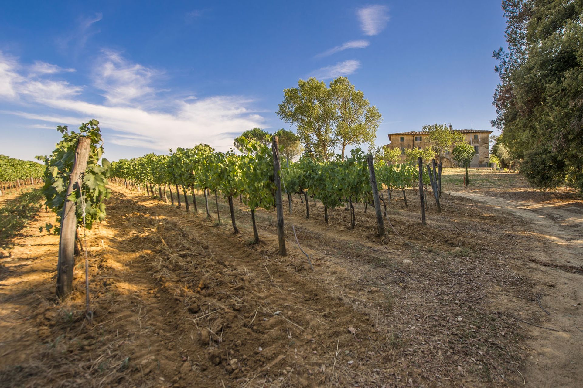 अन्य में San Gimignano, Siena 10057834