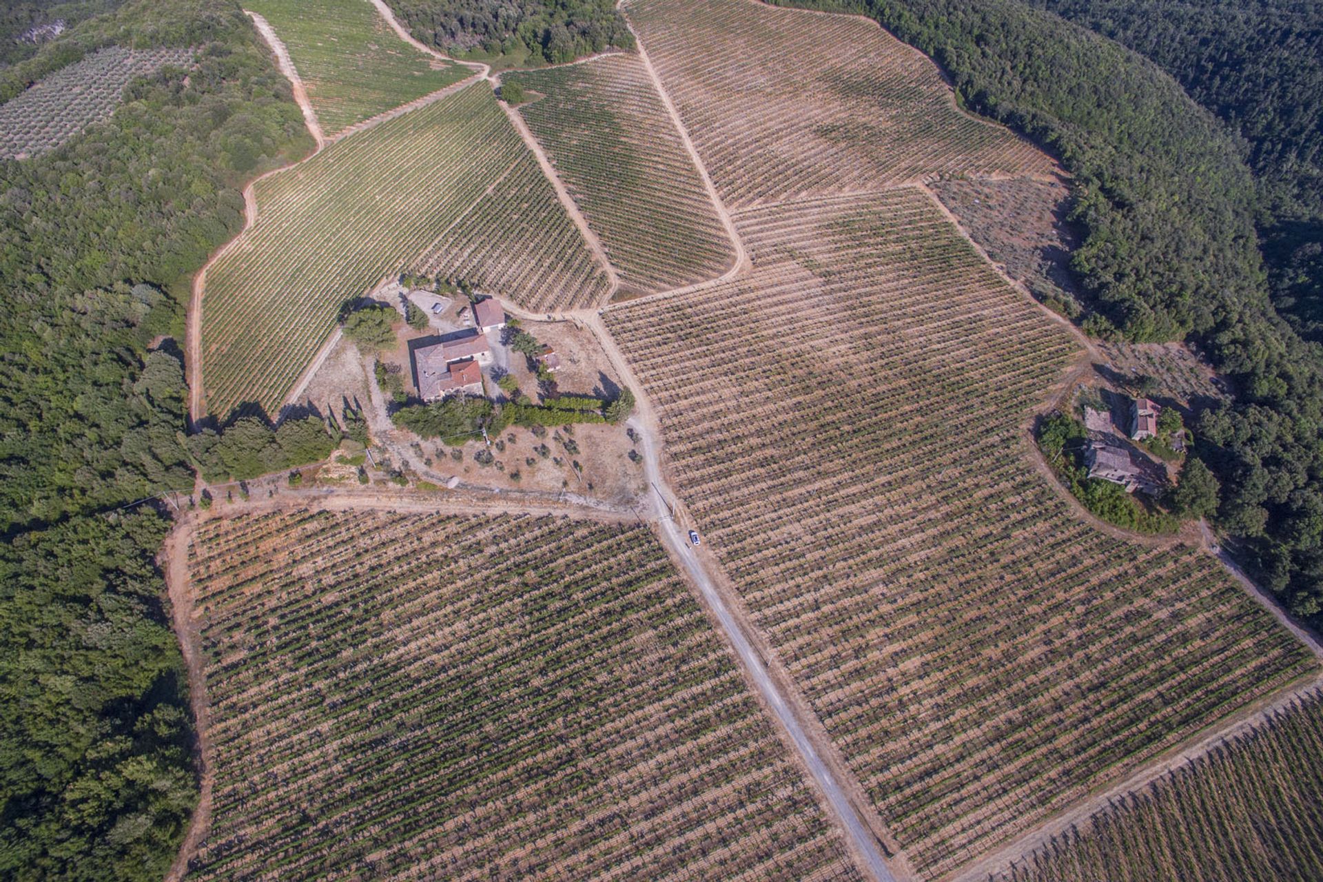 Інший в San Gimignano, Siena 10057834