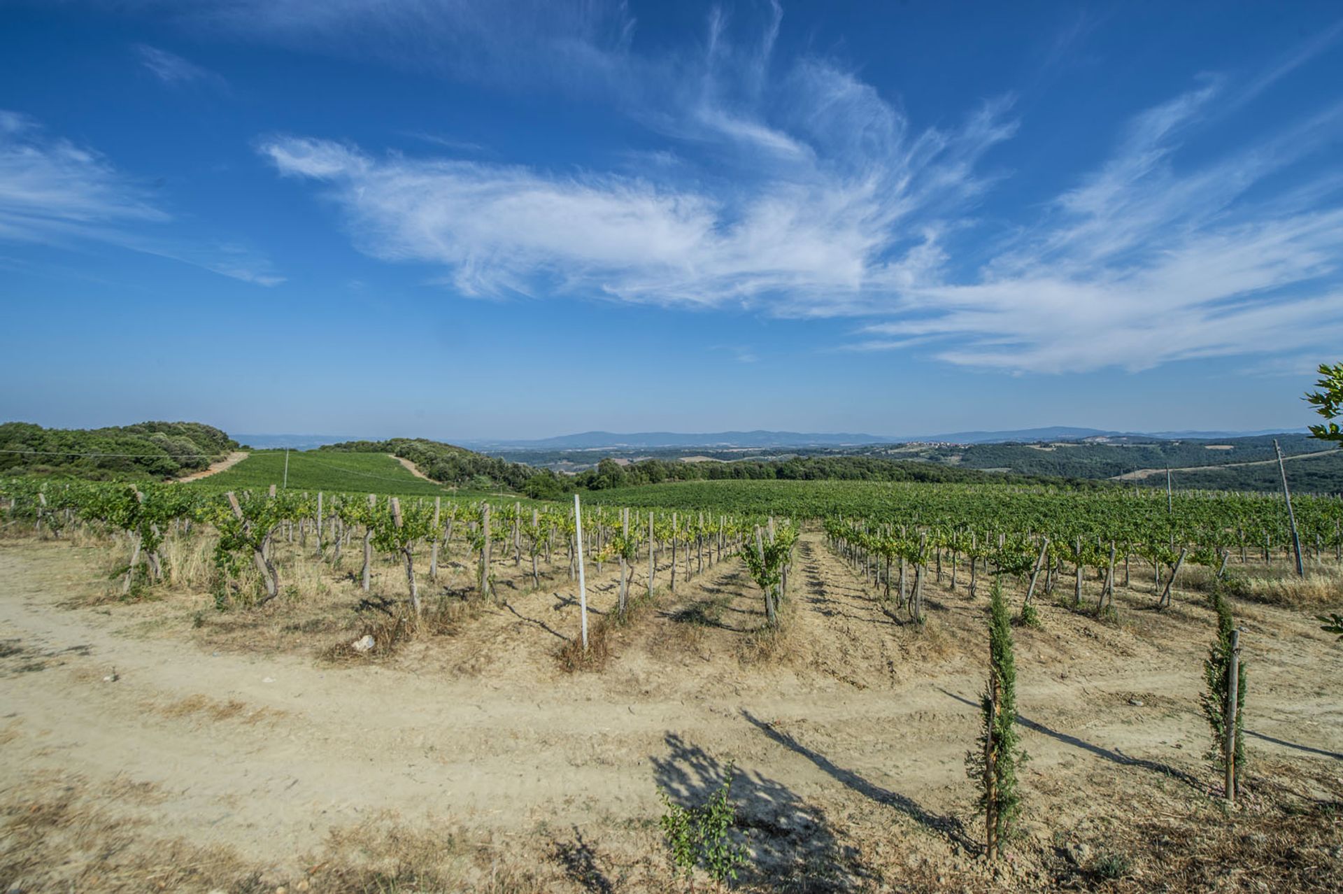 다른 에 San Gimignano, Siena 10057834