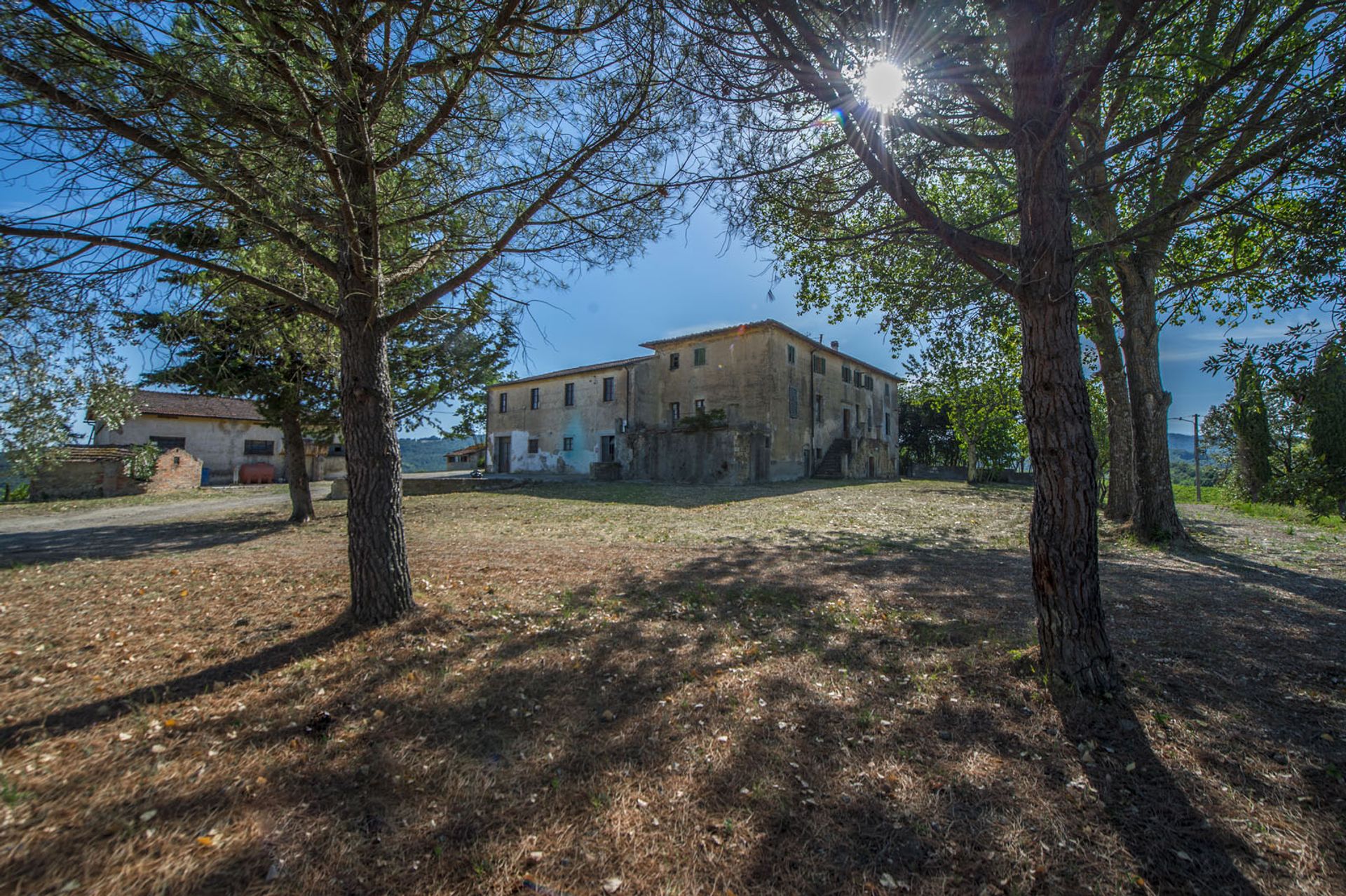 Annen i San Gimignano, Siena 10057834