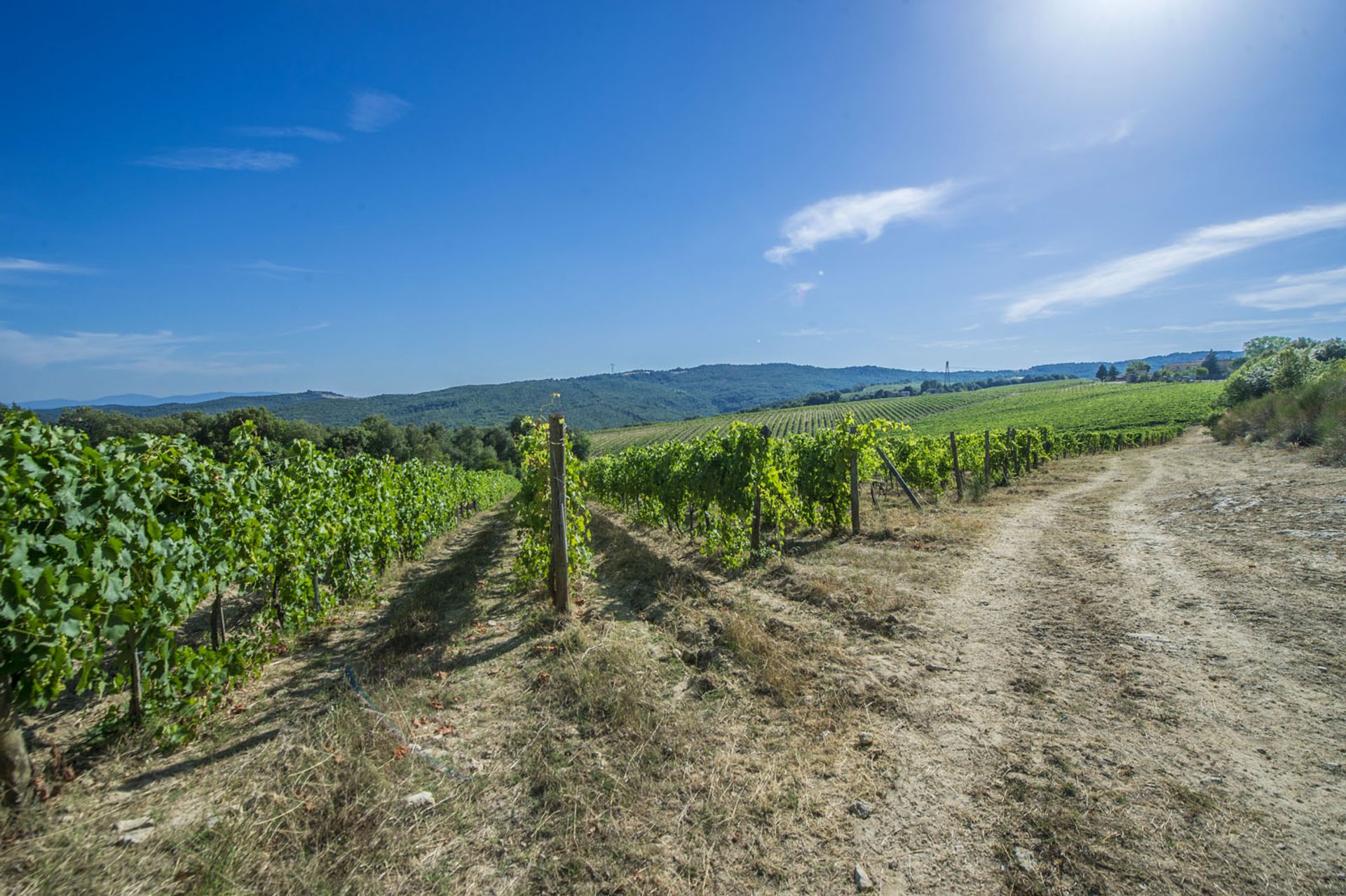 其他 在 San Gimignano, Siena 10057834