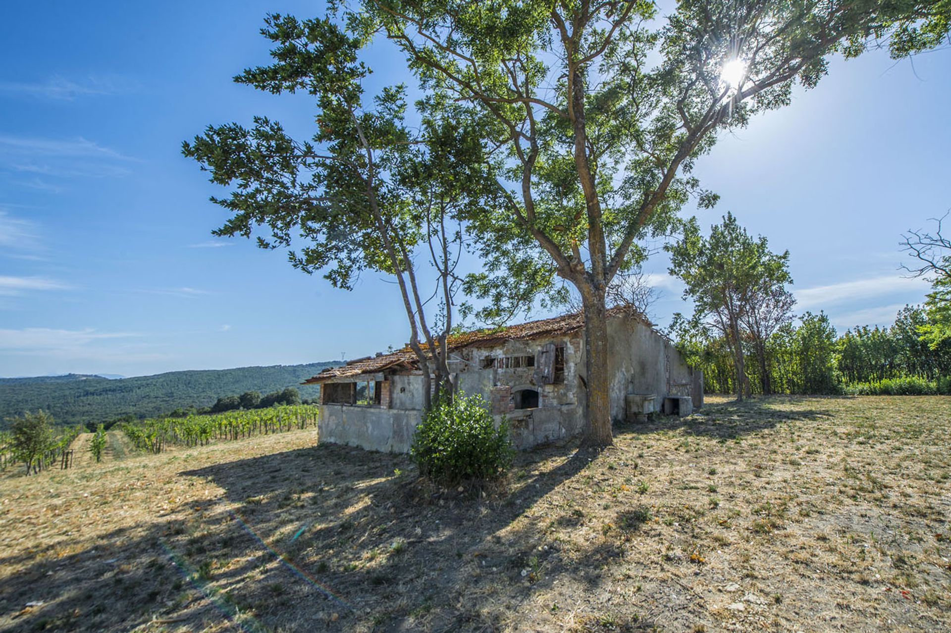 Другой в San Gimignano, Siena 10057834