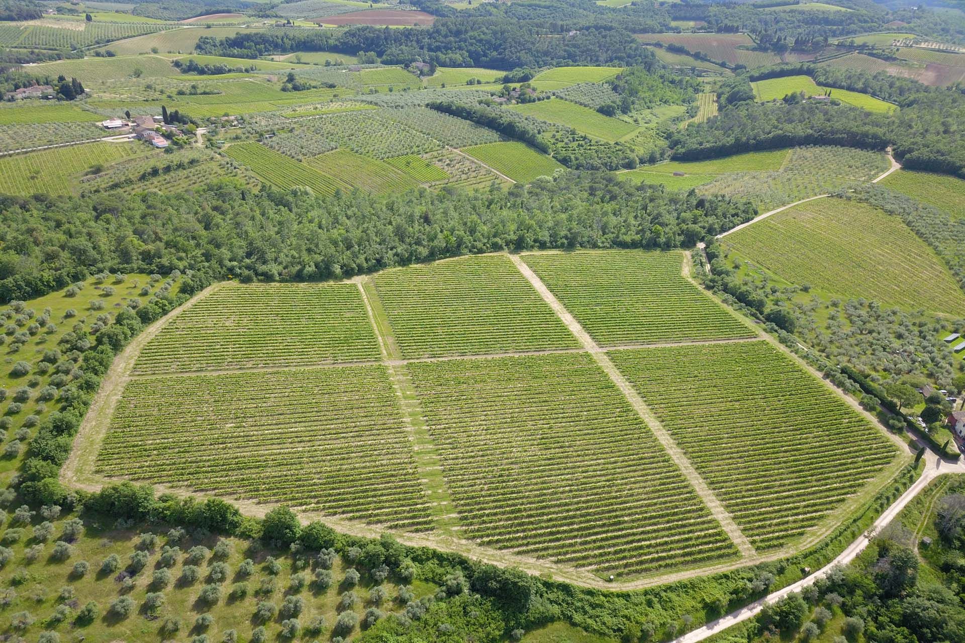 Autre dans San Casciano in Val Di Pesa, Florence Province 10057850