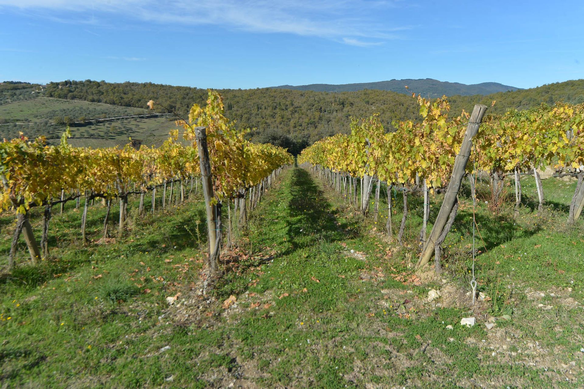 rumah dalam Gaiole in Chianti, Siena 10057859