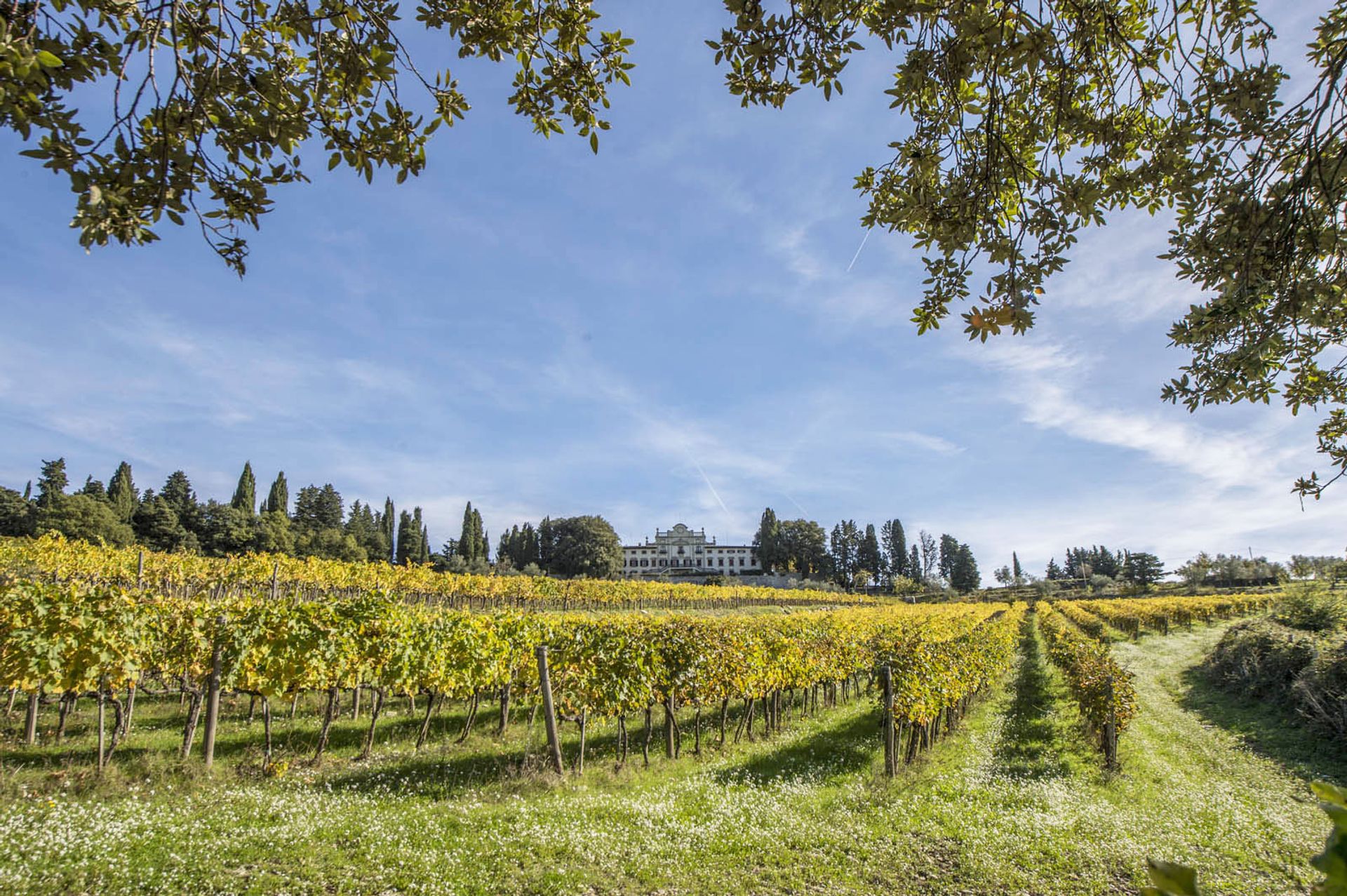 rumah dalam Gaiole in Chianti, Siena 10057859