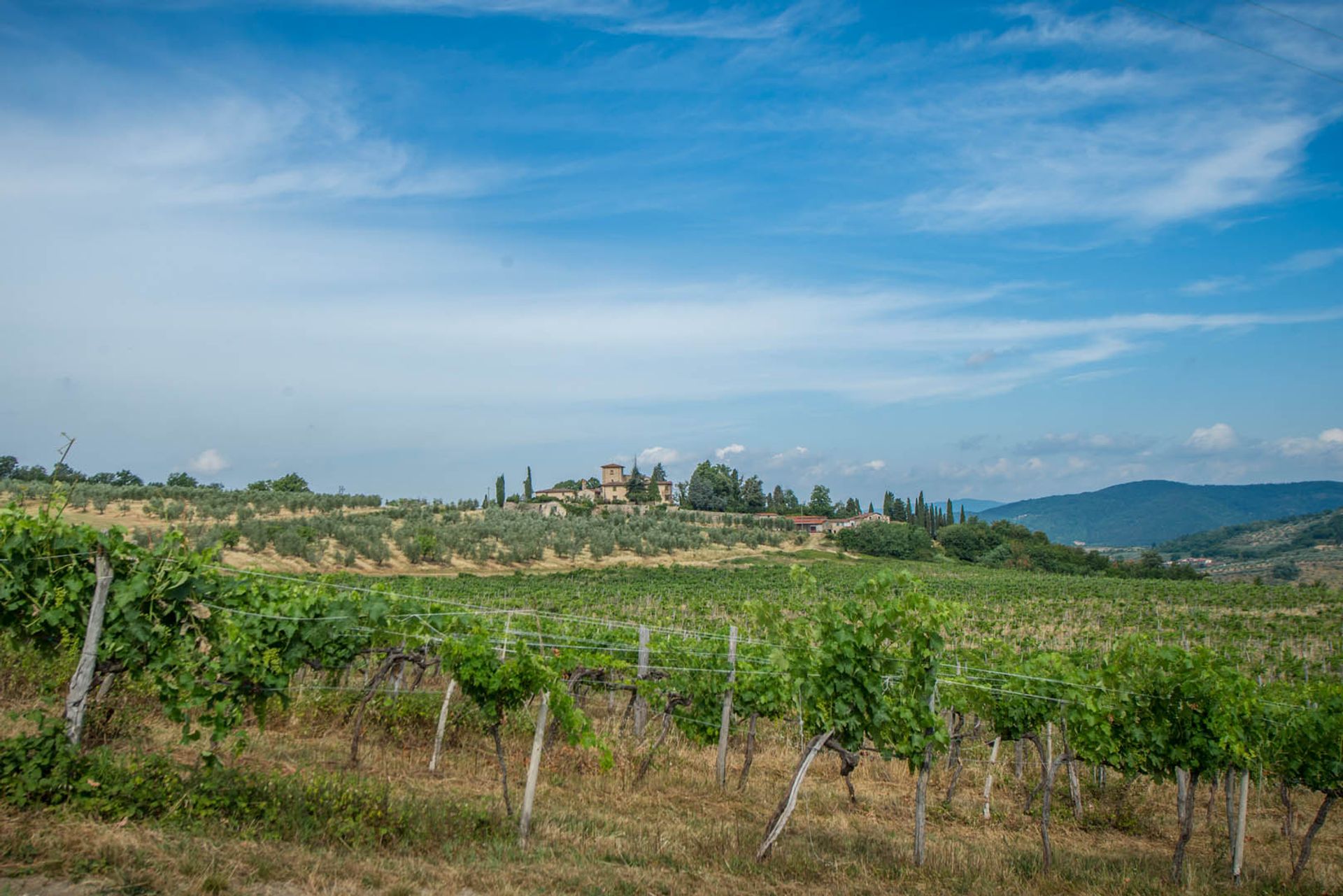 Outro no Florença, Toscana 10058122