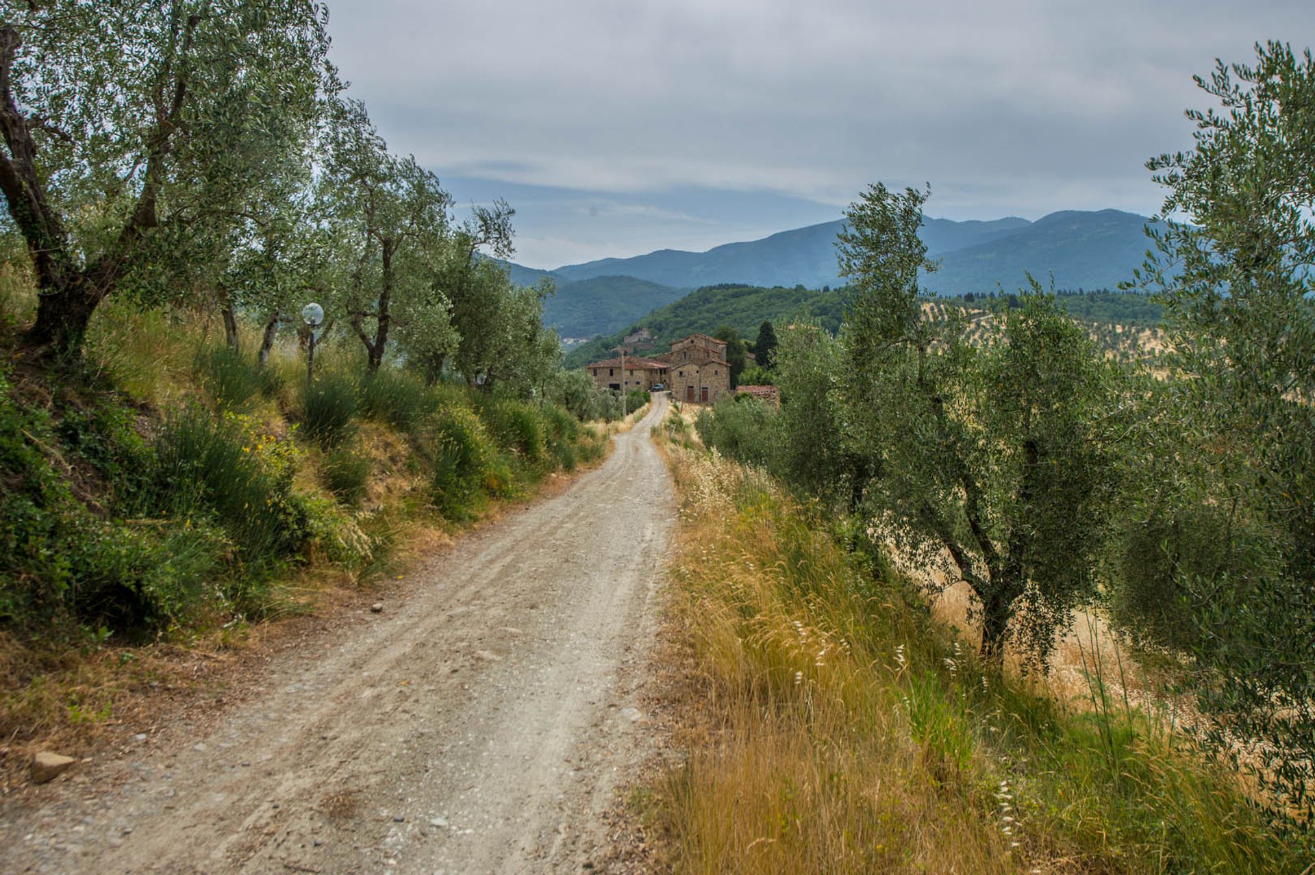 Outro no Florença, Toscana 10058122