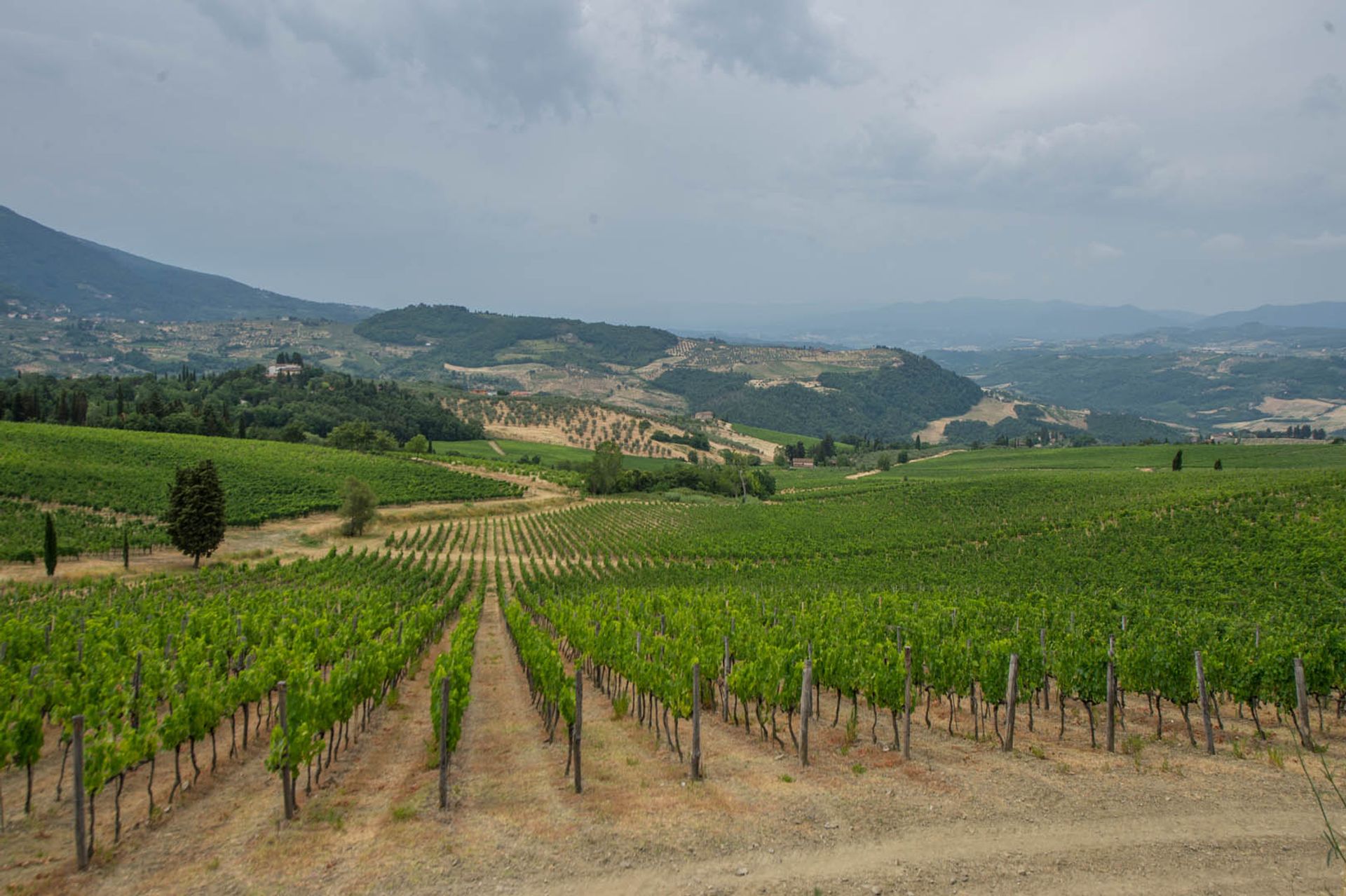 Outro no Florença, Toscana 10058122