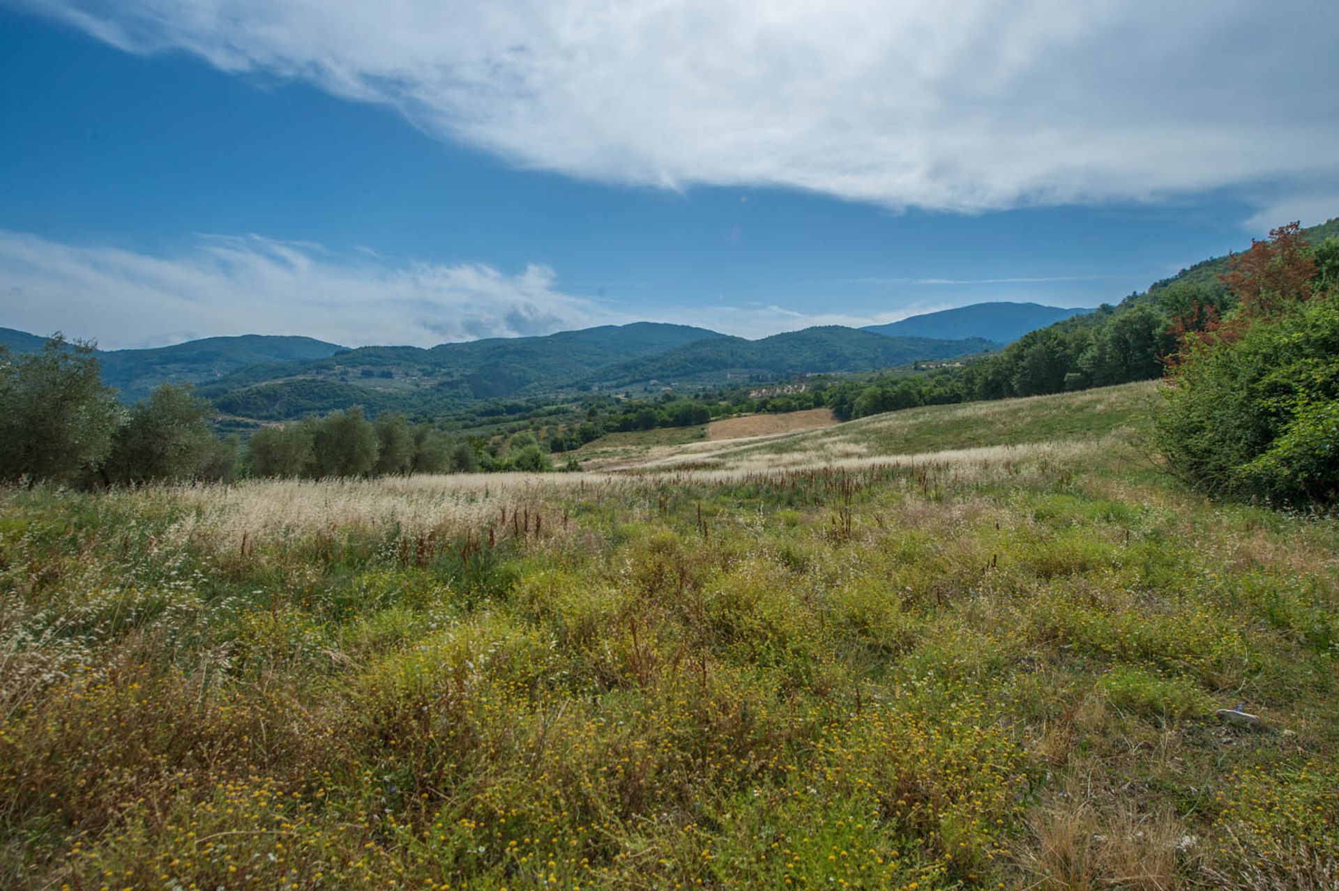 Outro no Florença, Toscana 10058122