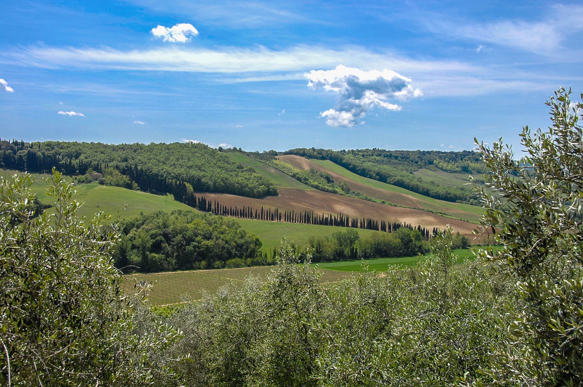 Muu sisään San Gimignano, Siena 10058125