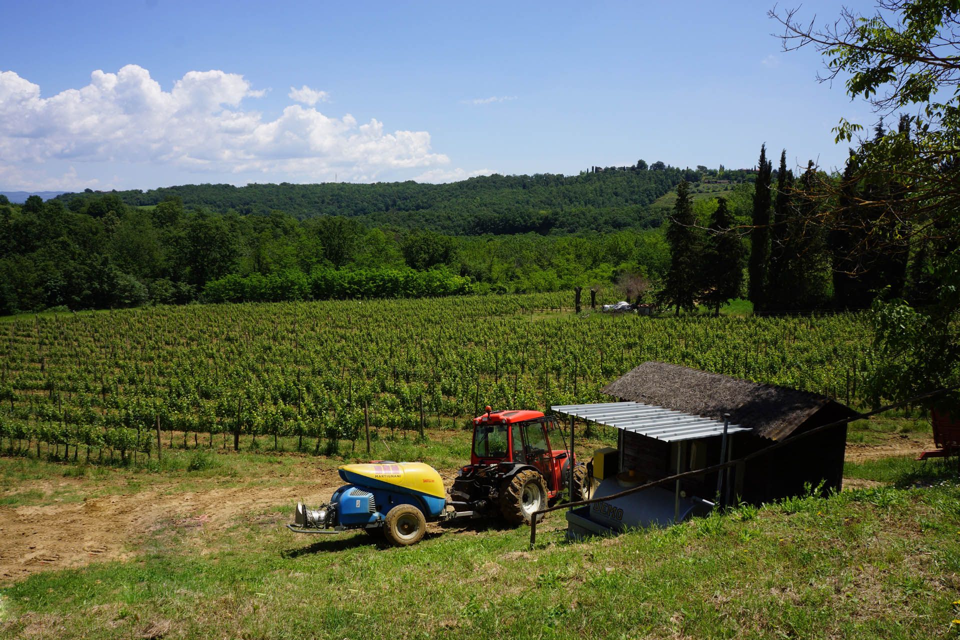 آخر في San Gimignano, Siena 10058125