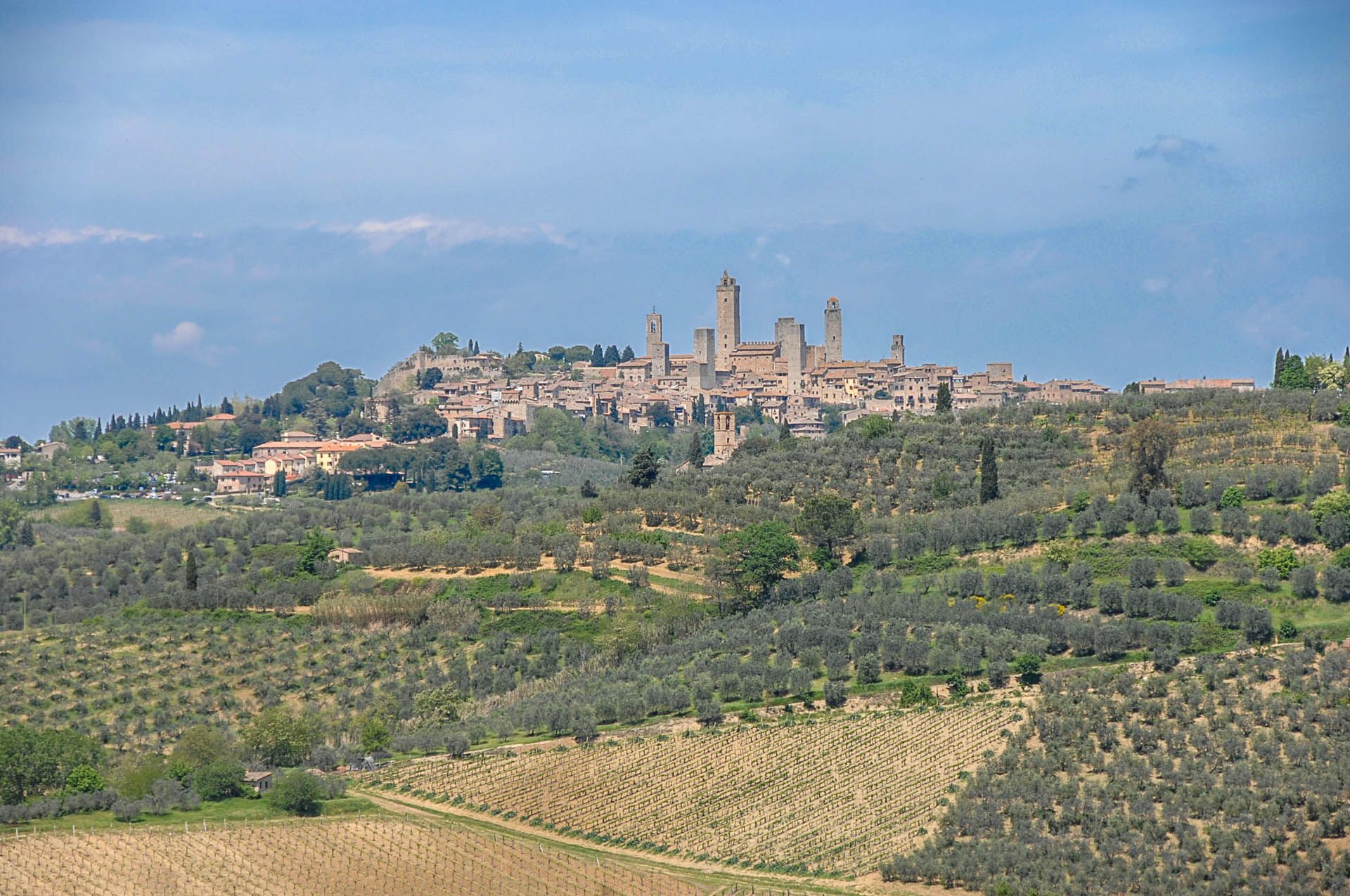 Andet i San Gimignano, Siena 10058125