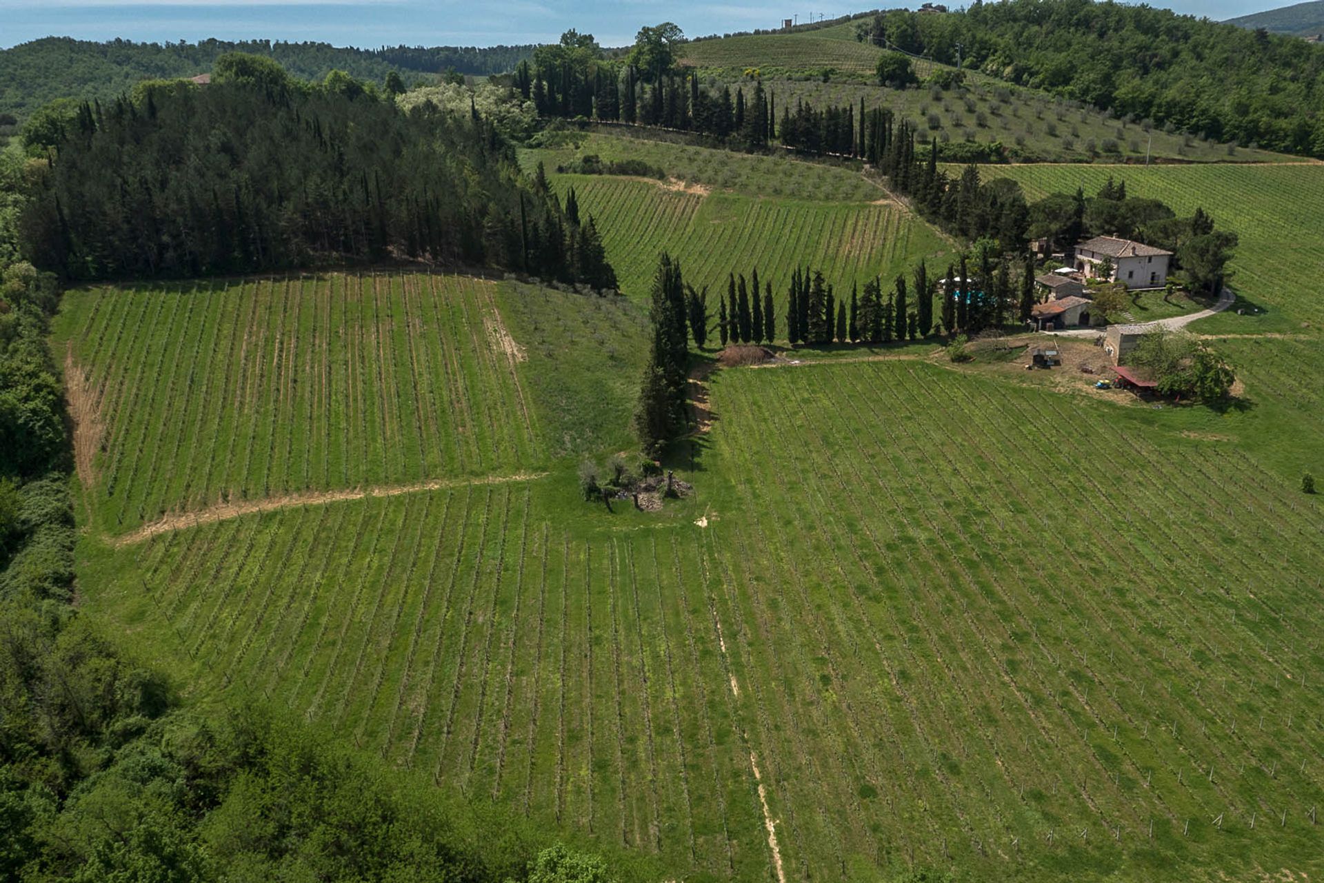 Outro no San Gimignano, Siena 10058125